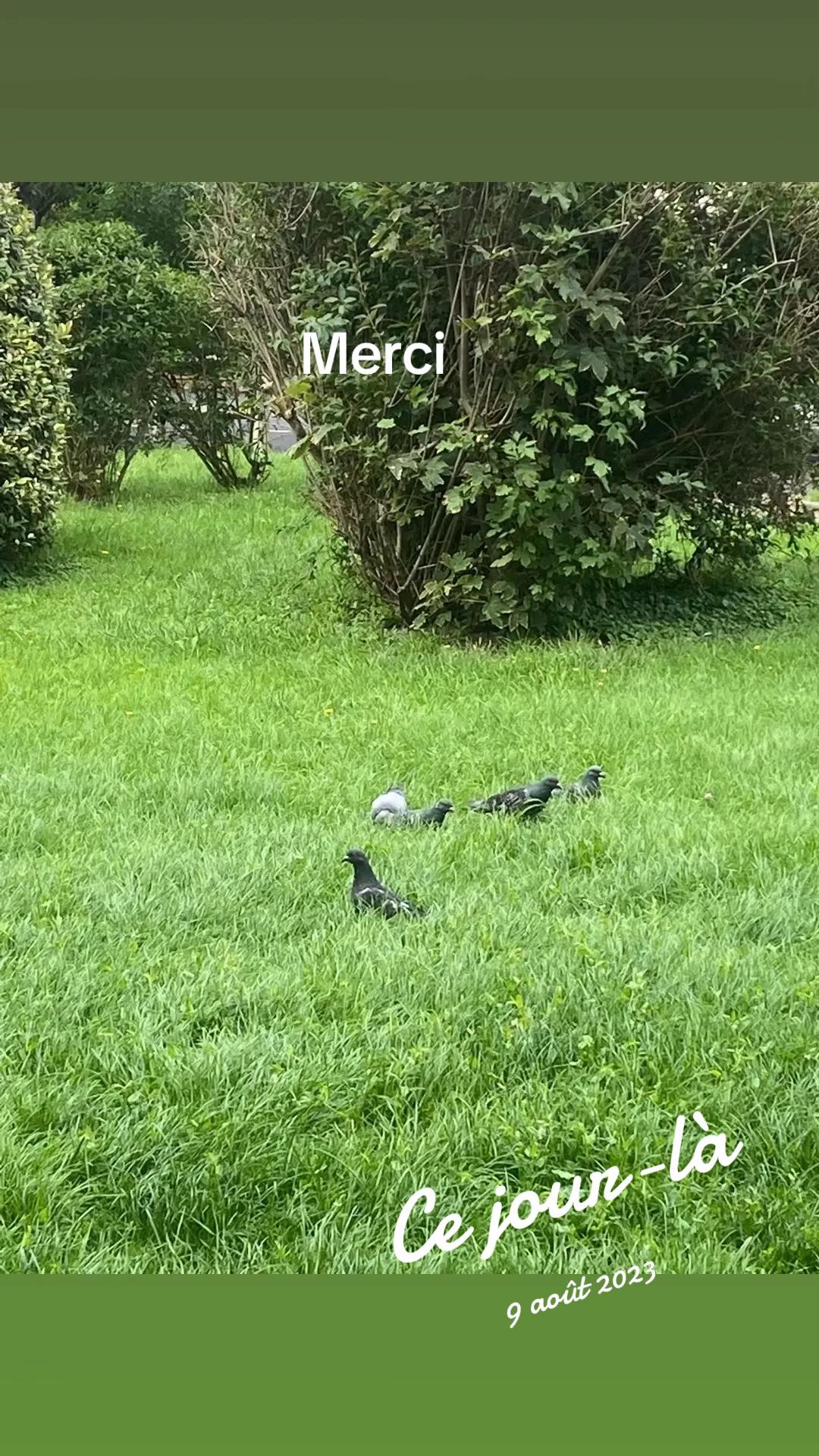 @Fifi l’algérienne