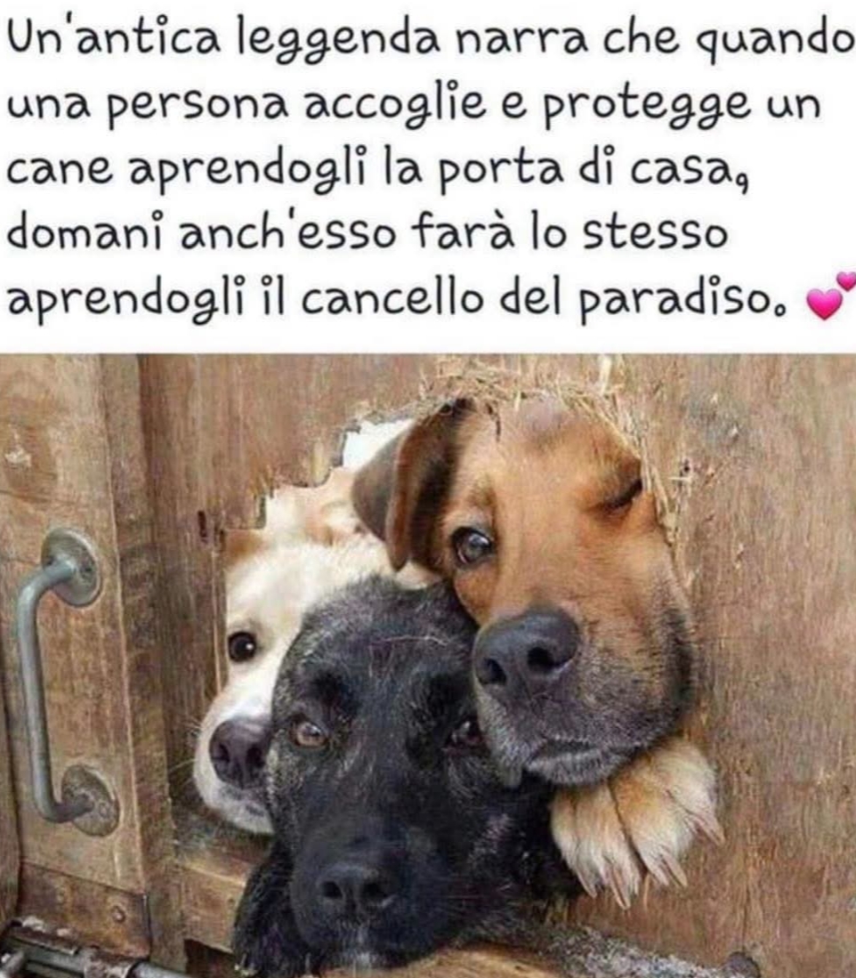@Valentina
