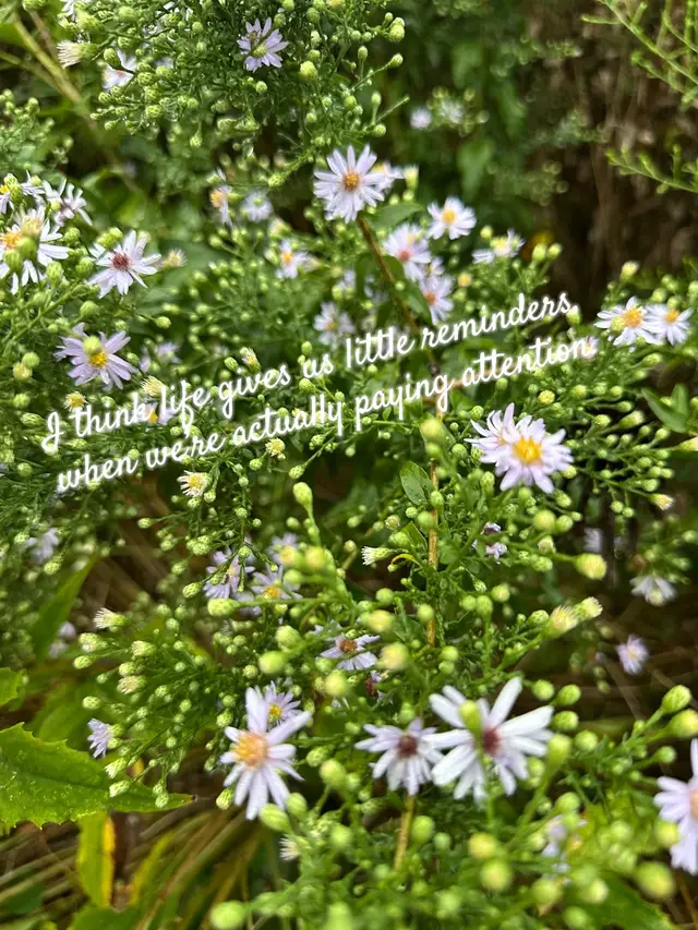 @_DanDeLioness