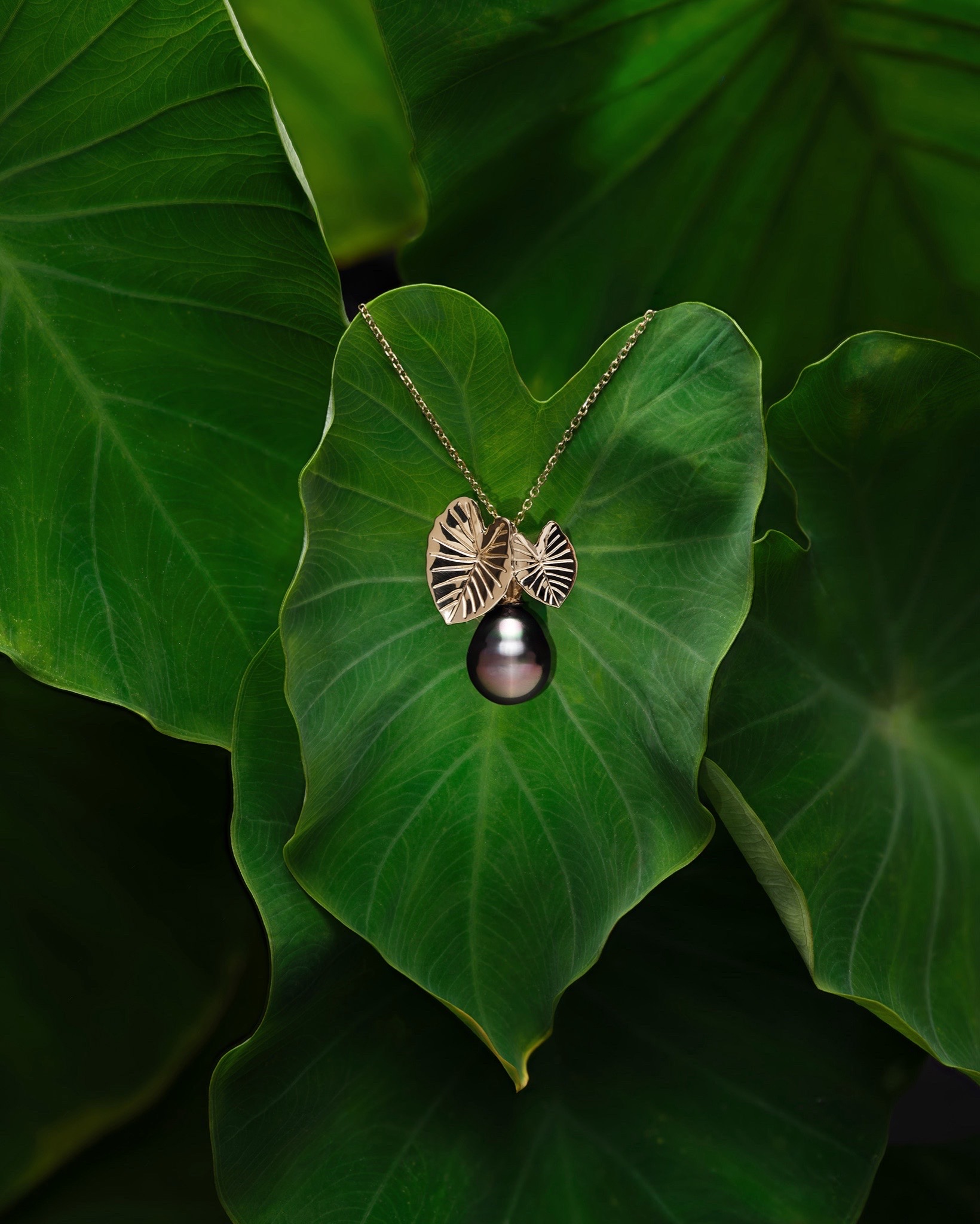 @Maui Divers Jewelry
