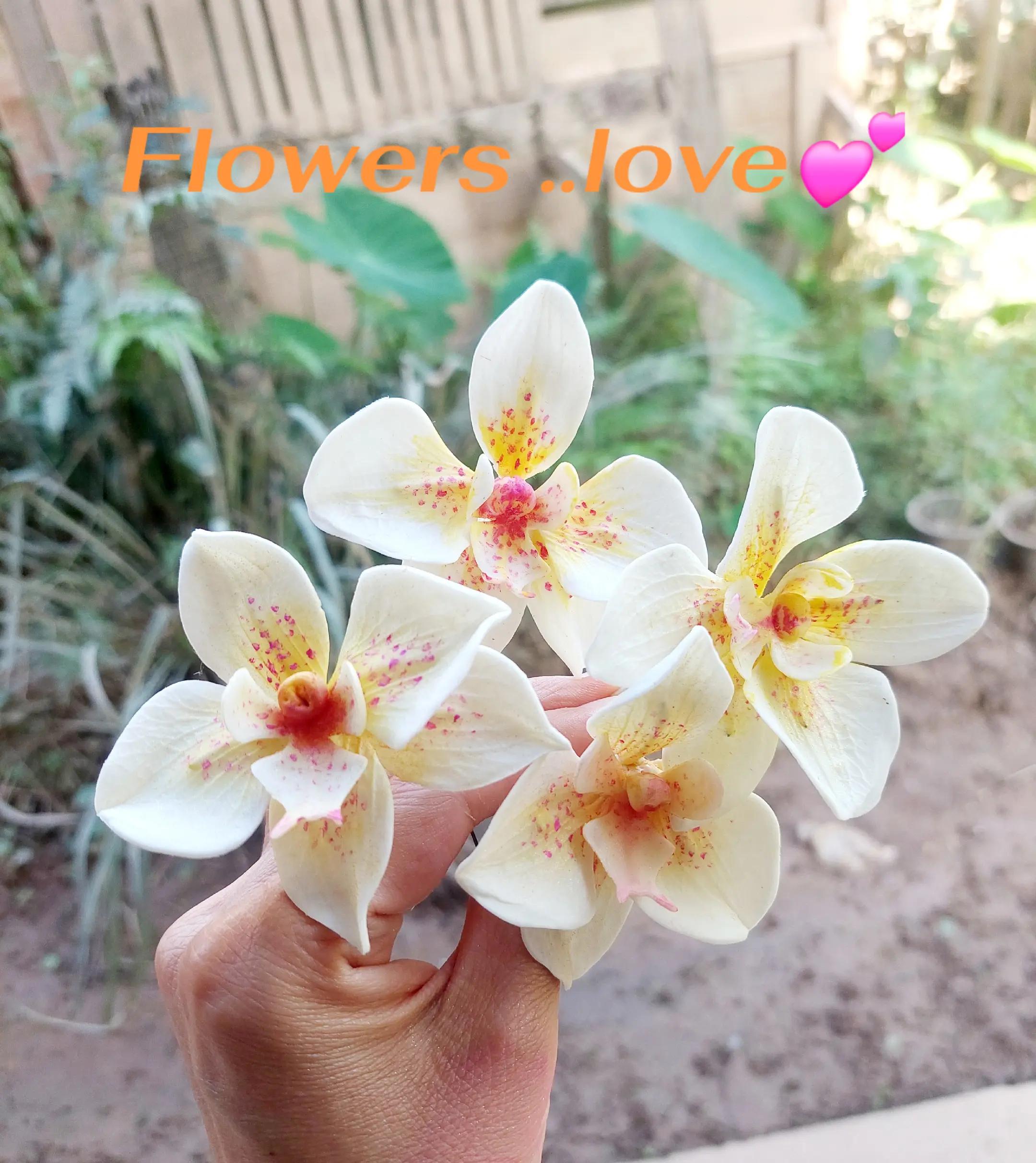 @Arthitayar-นุ่น🥰🥰