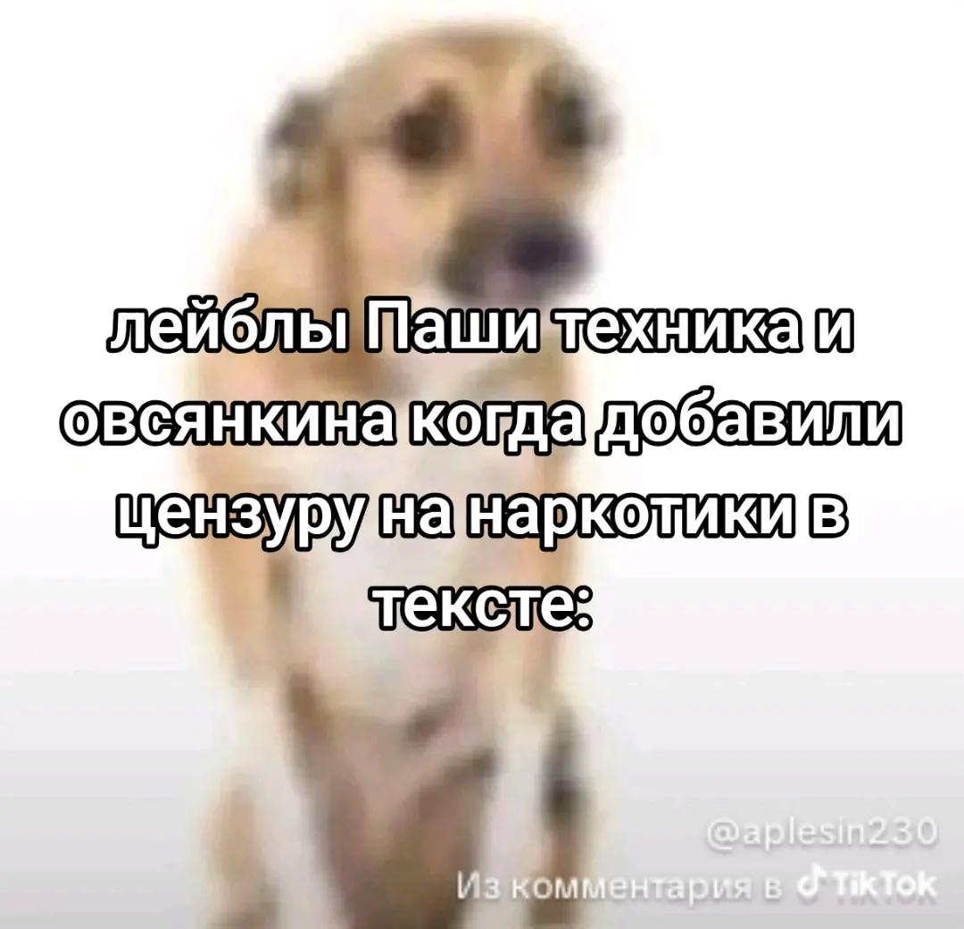 @скрр пау пау