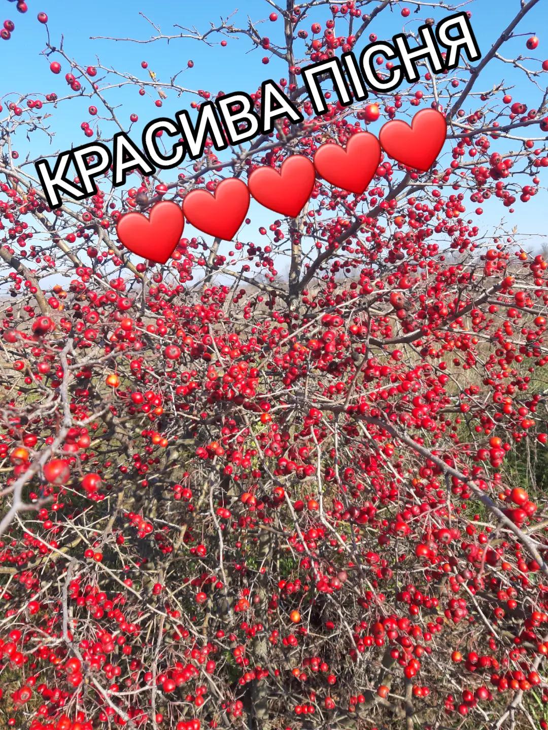 @taniy659