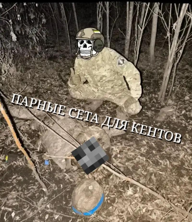 @bonya
