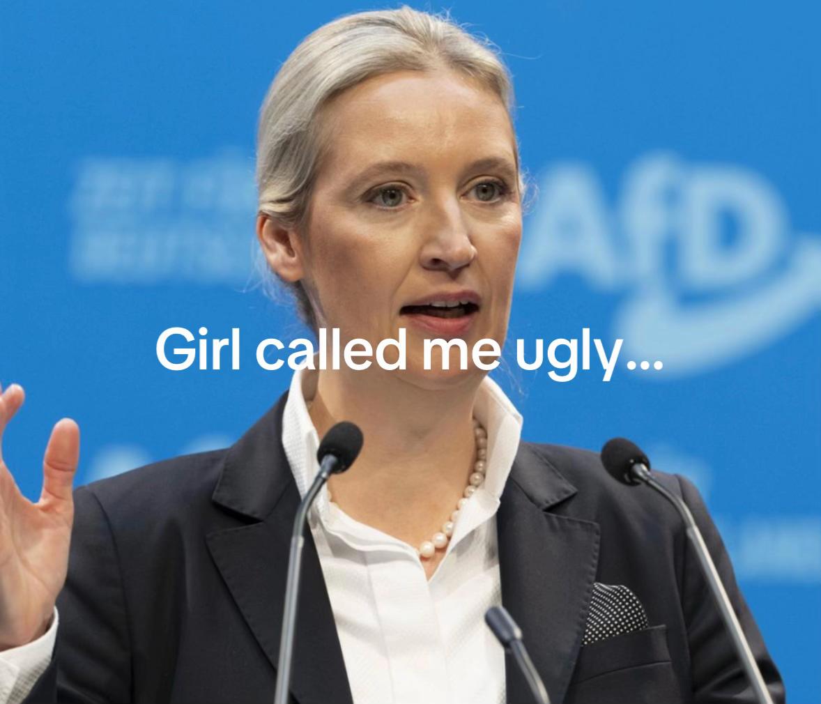 @AliceWeidel_afdfan4578