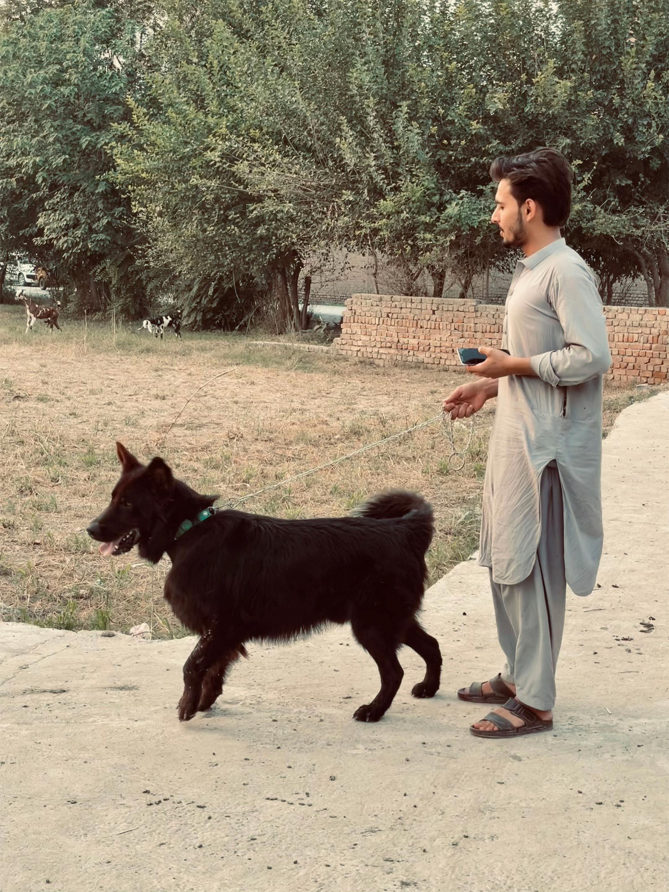 @Saif Shinwari