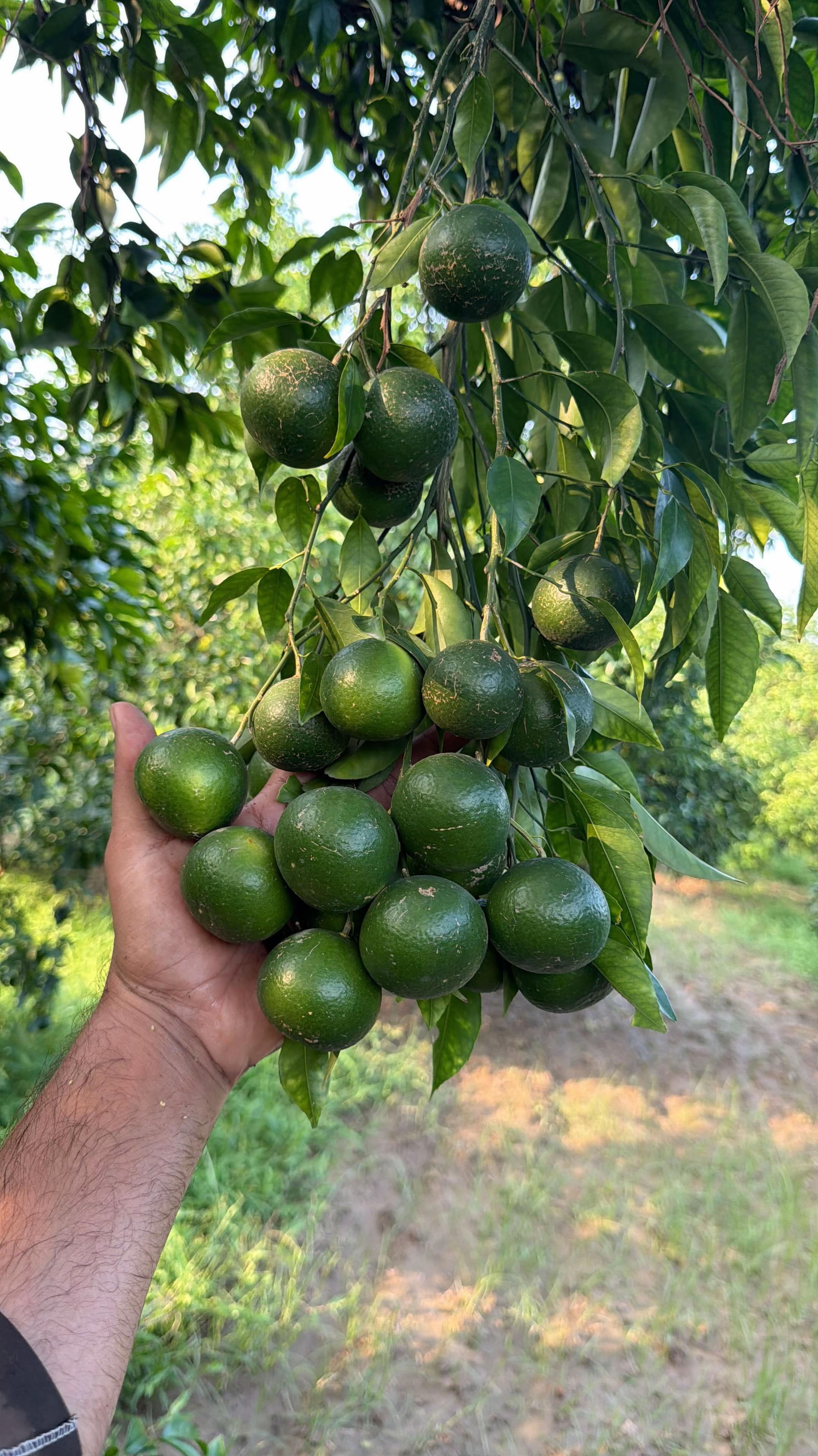 @ꜰᴀᴋʜᴀʀ