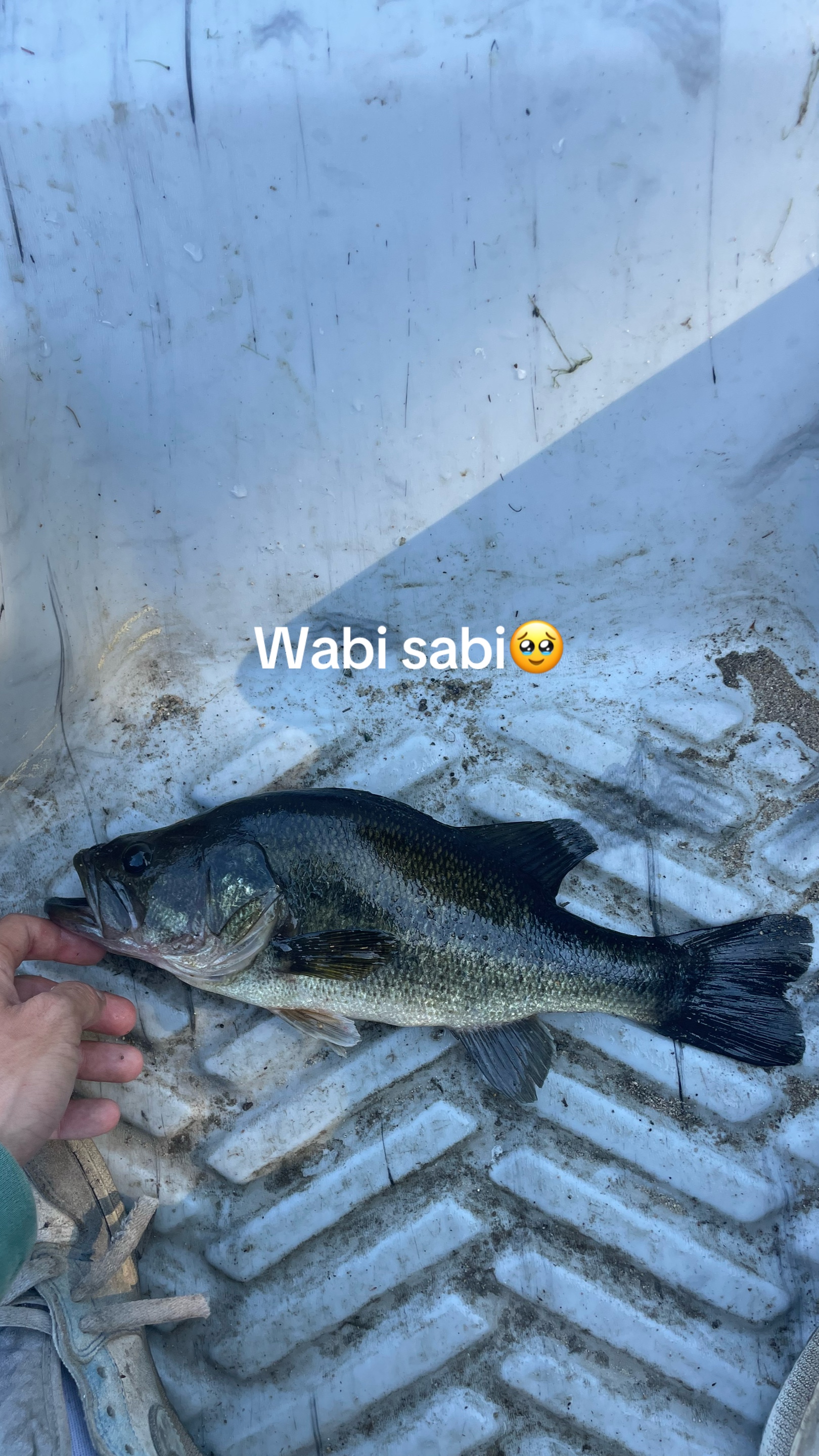 @sams.fishing_