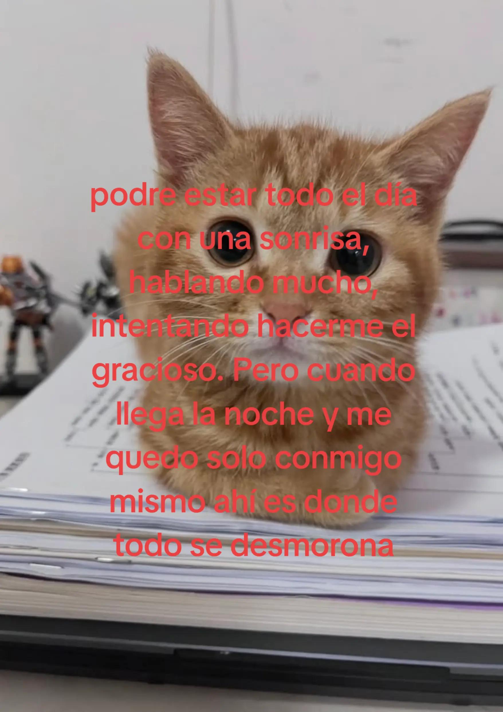 @G4b_n