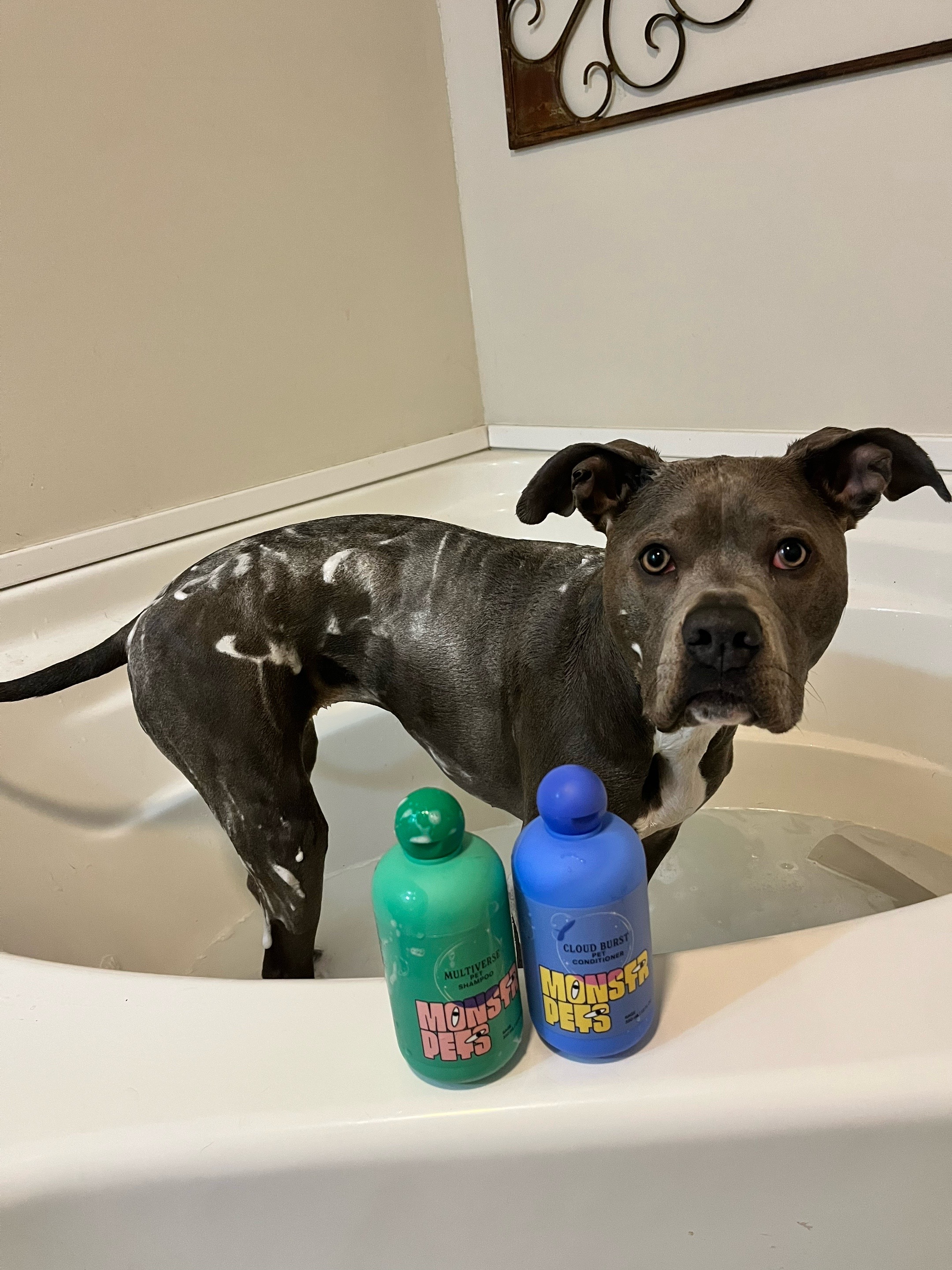 @Ivy the pitty