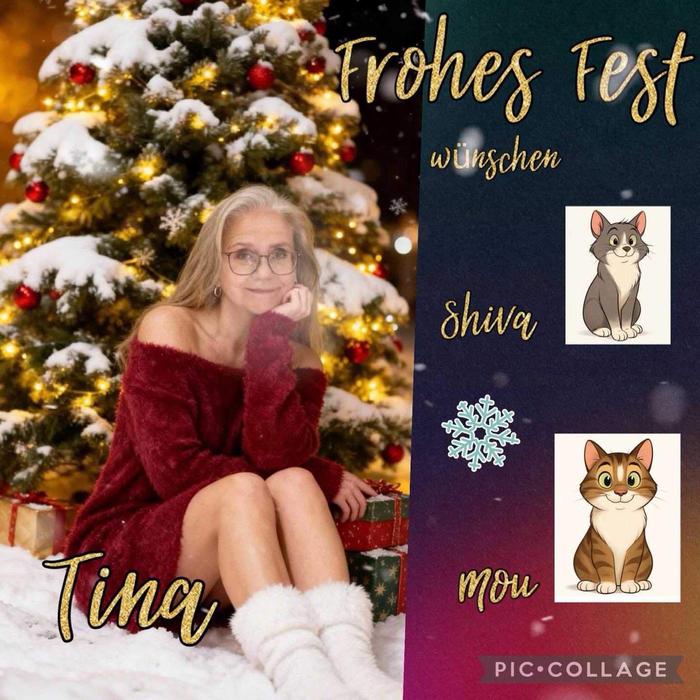 @Tina🙋🏼♀️Shiva🐈⬛❤️Mou🐈