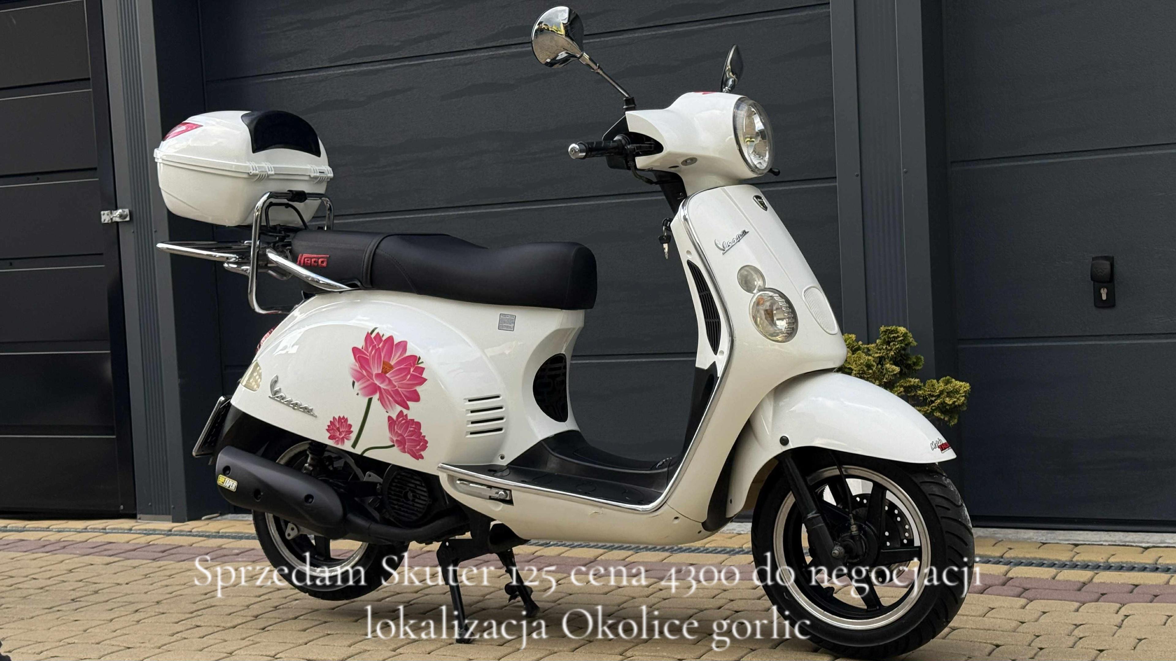 @Kacper_ogorzałek