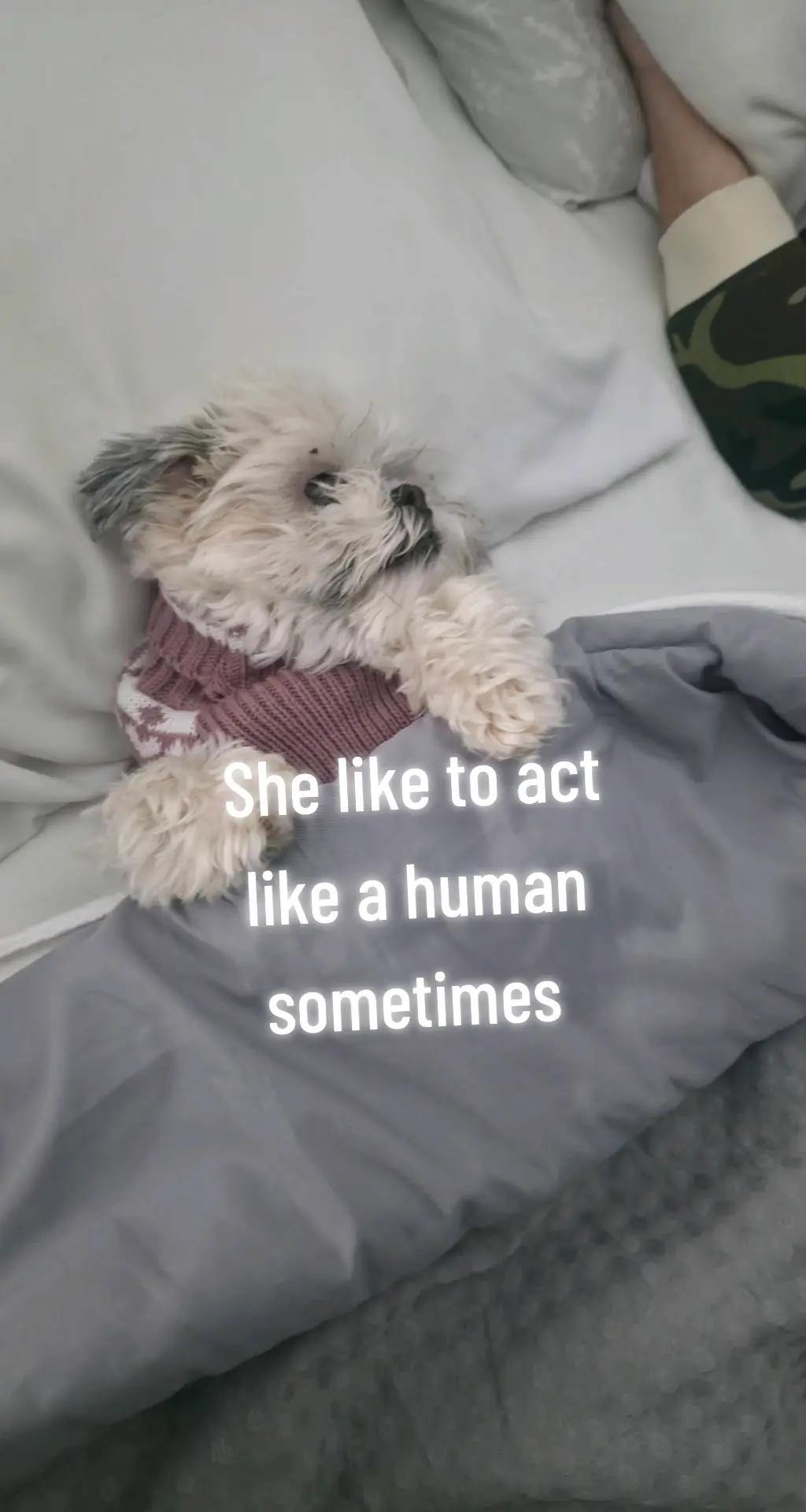 @Kara