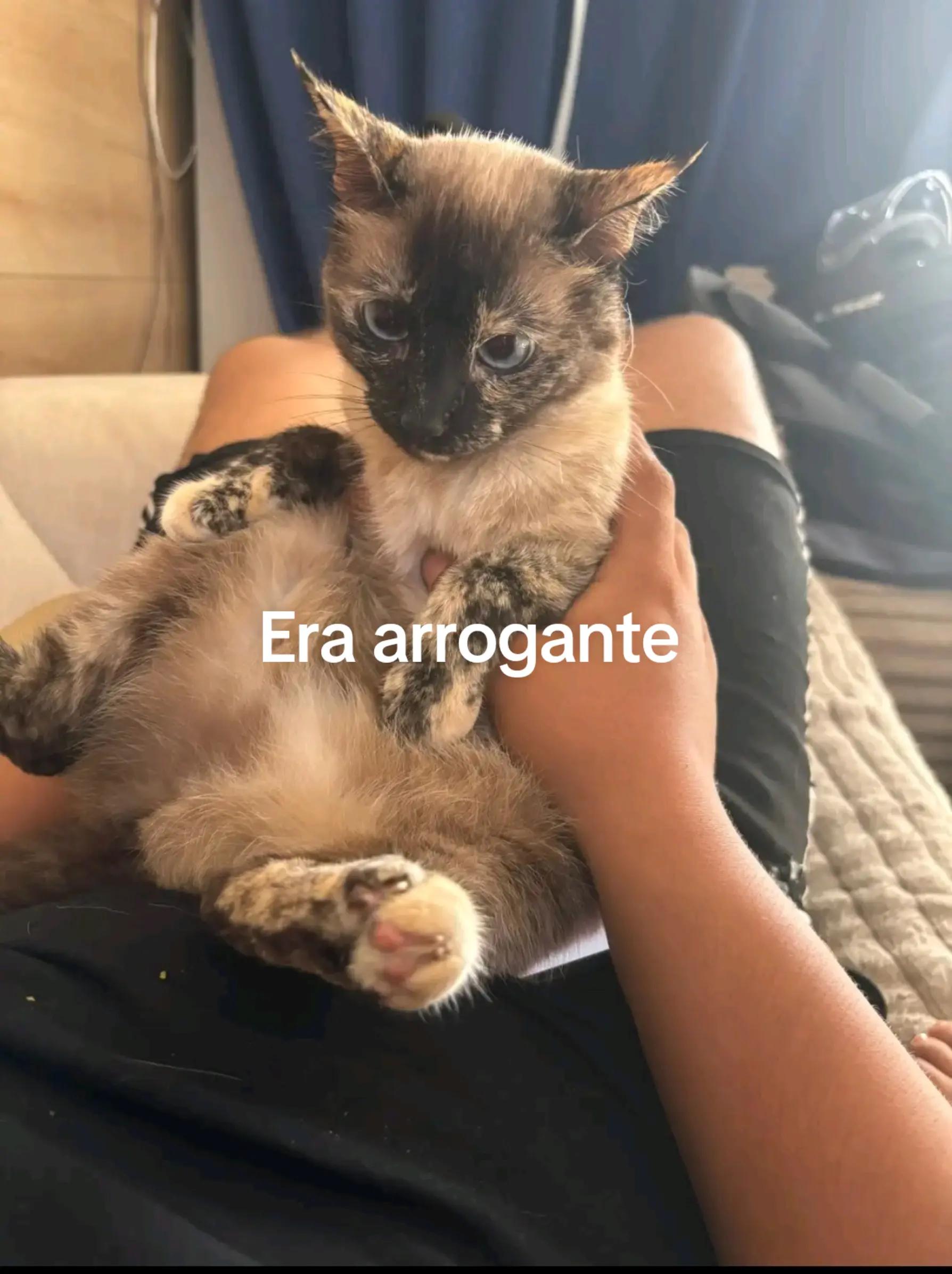@VIII
