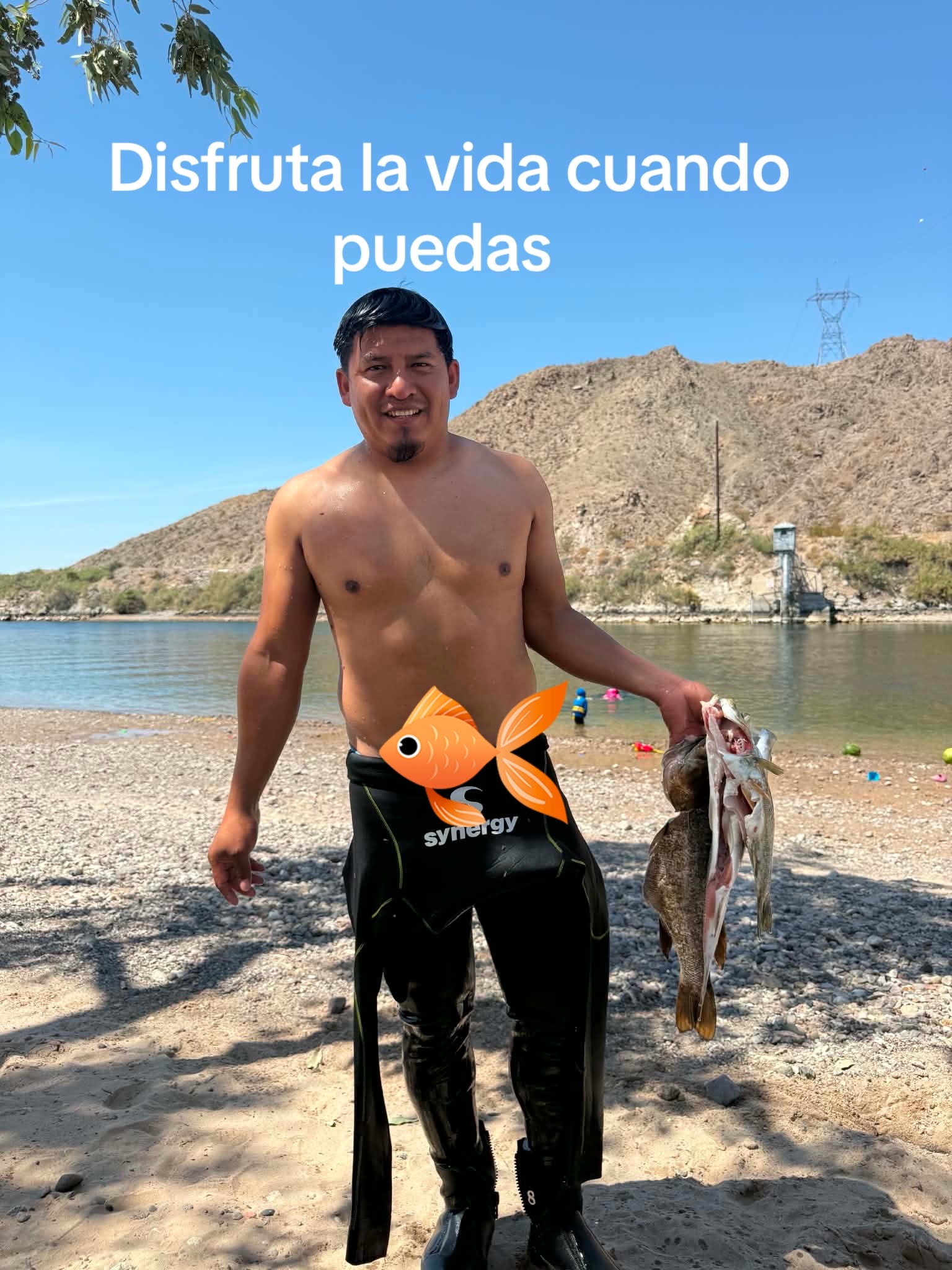 @Alejandro Miranda