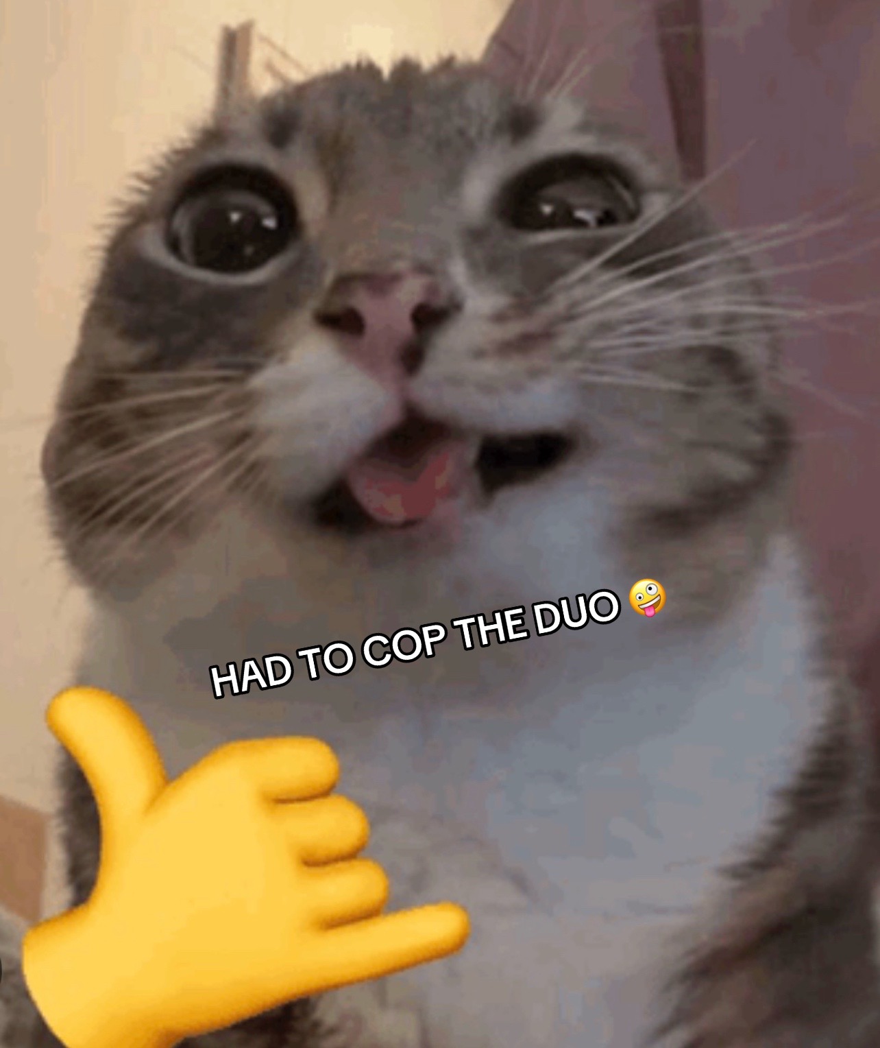 @Its_CJ_830