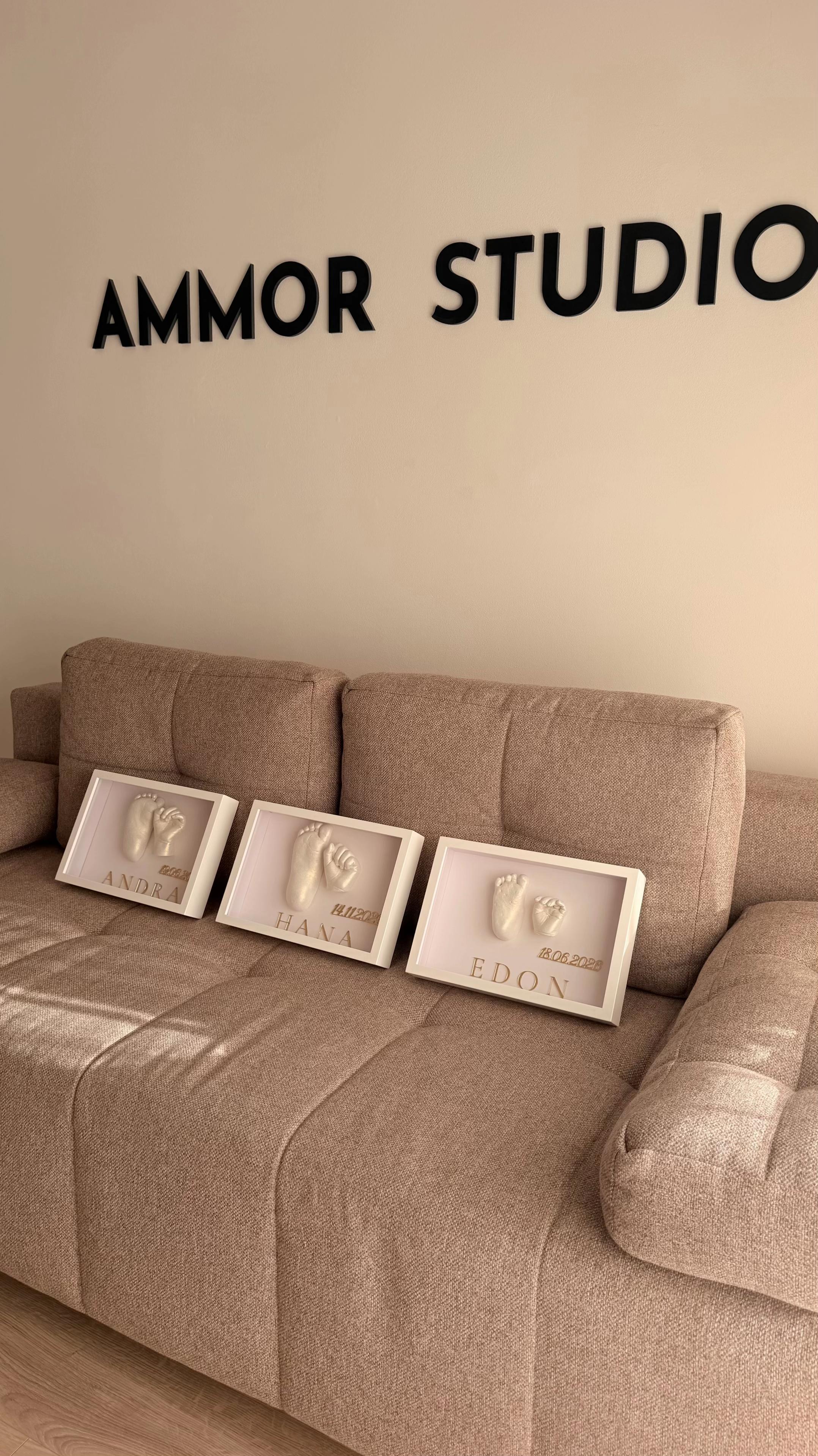 @ammorstudio