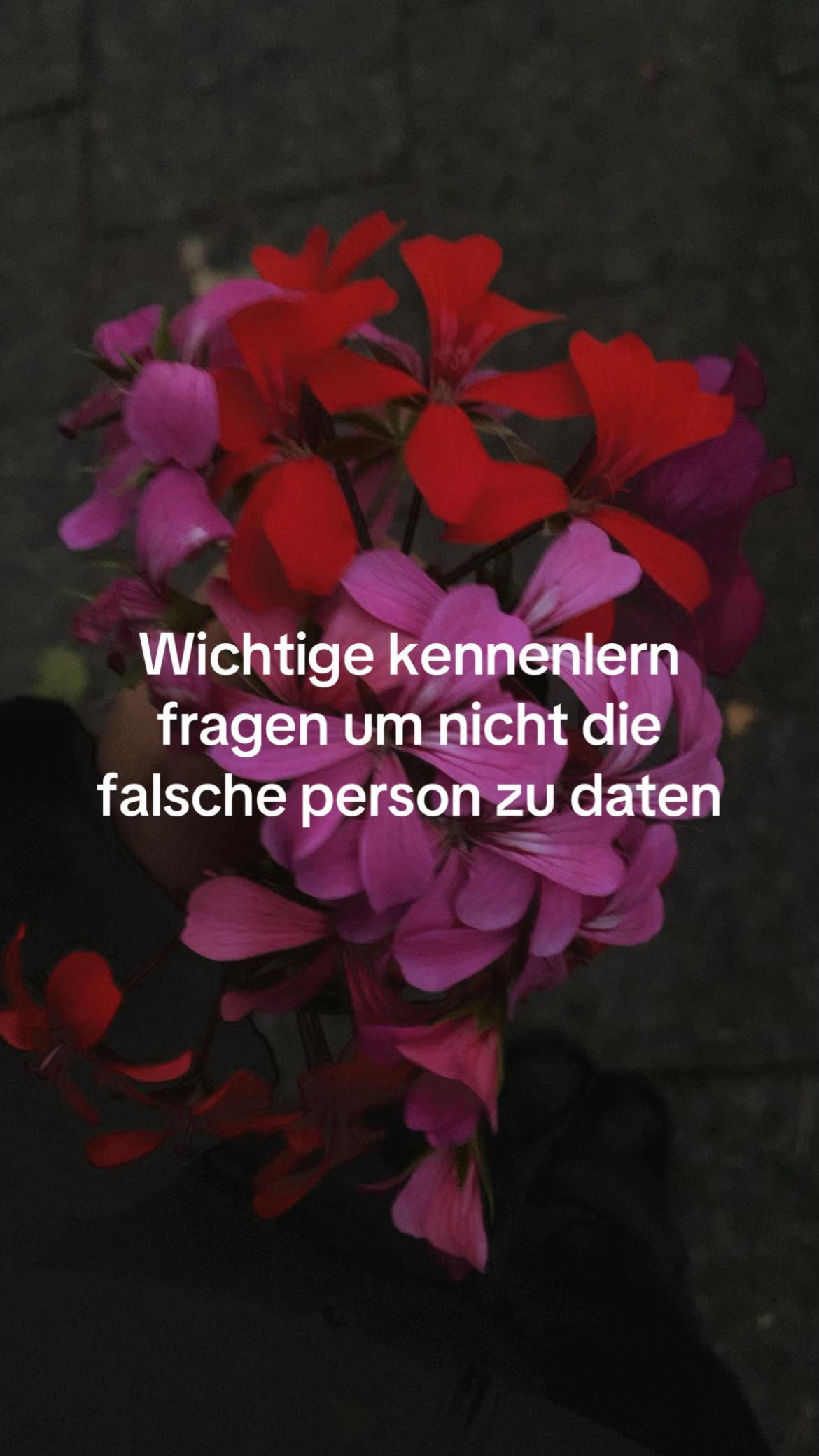@ʕ•ᴥ•ʔ