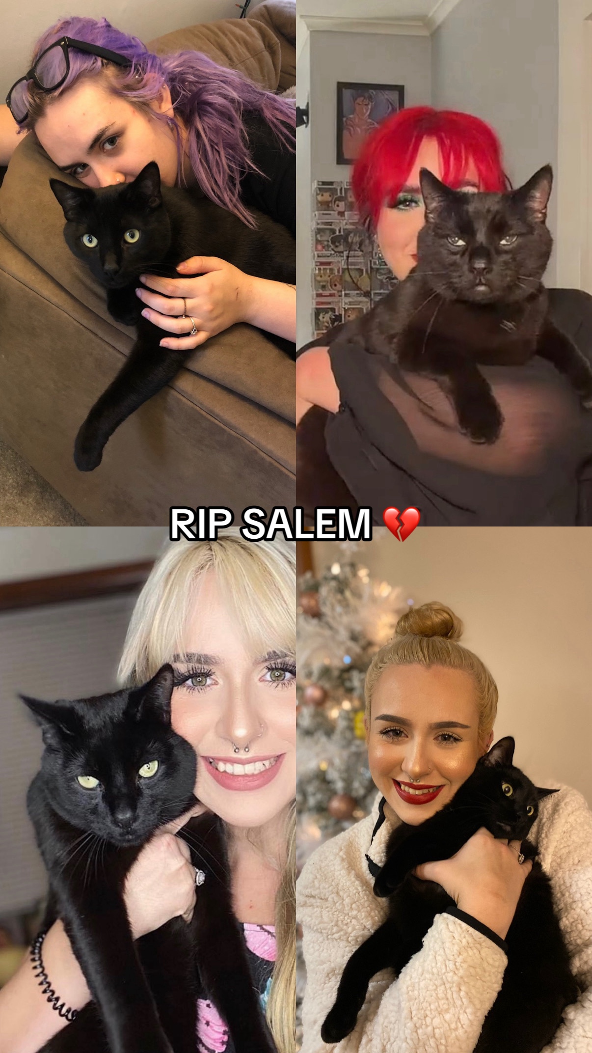 @simiviolet