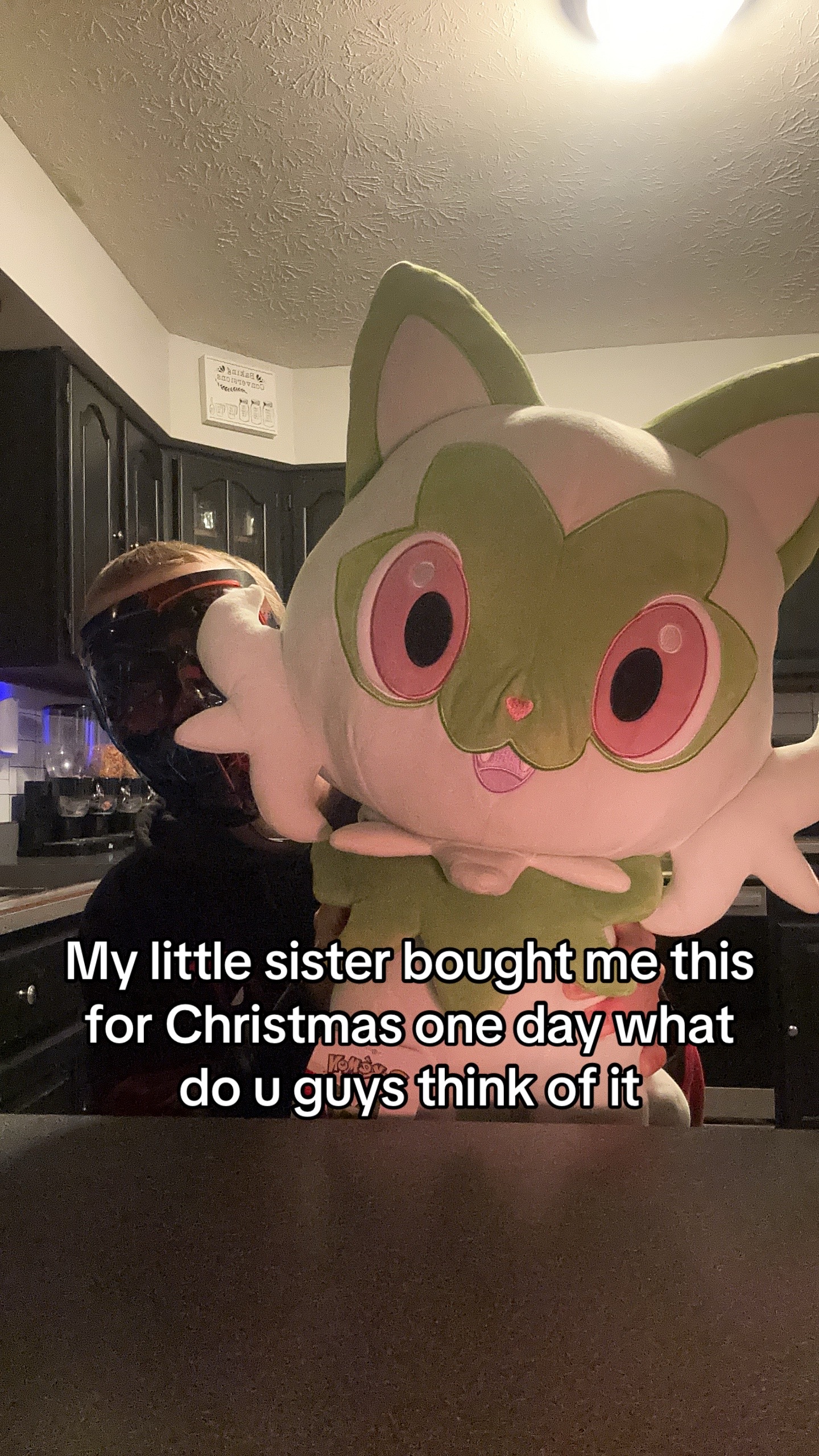 @Mr.mystery