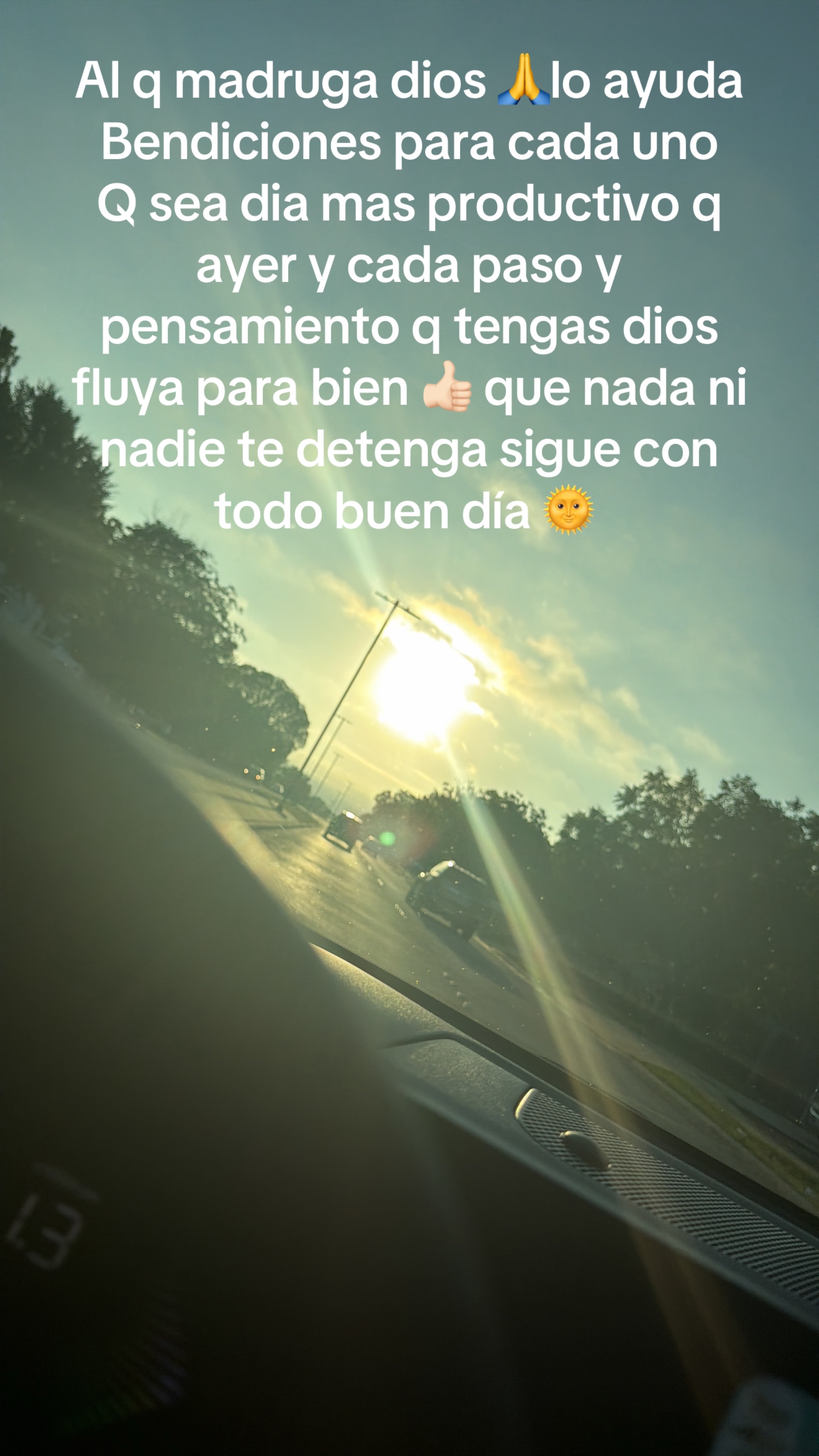 @galyabrego
