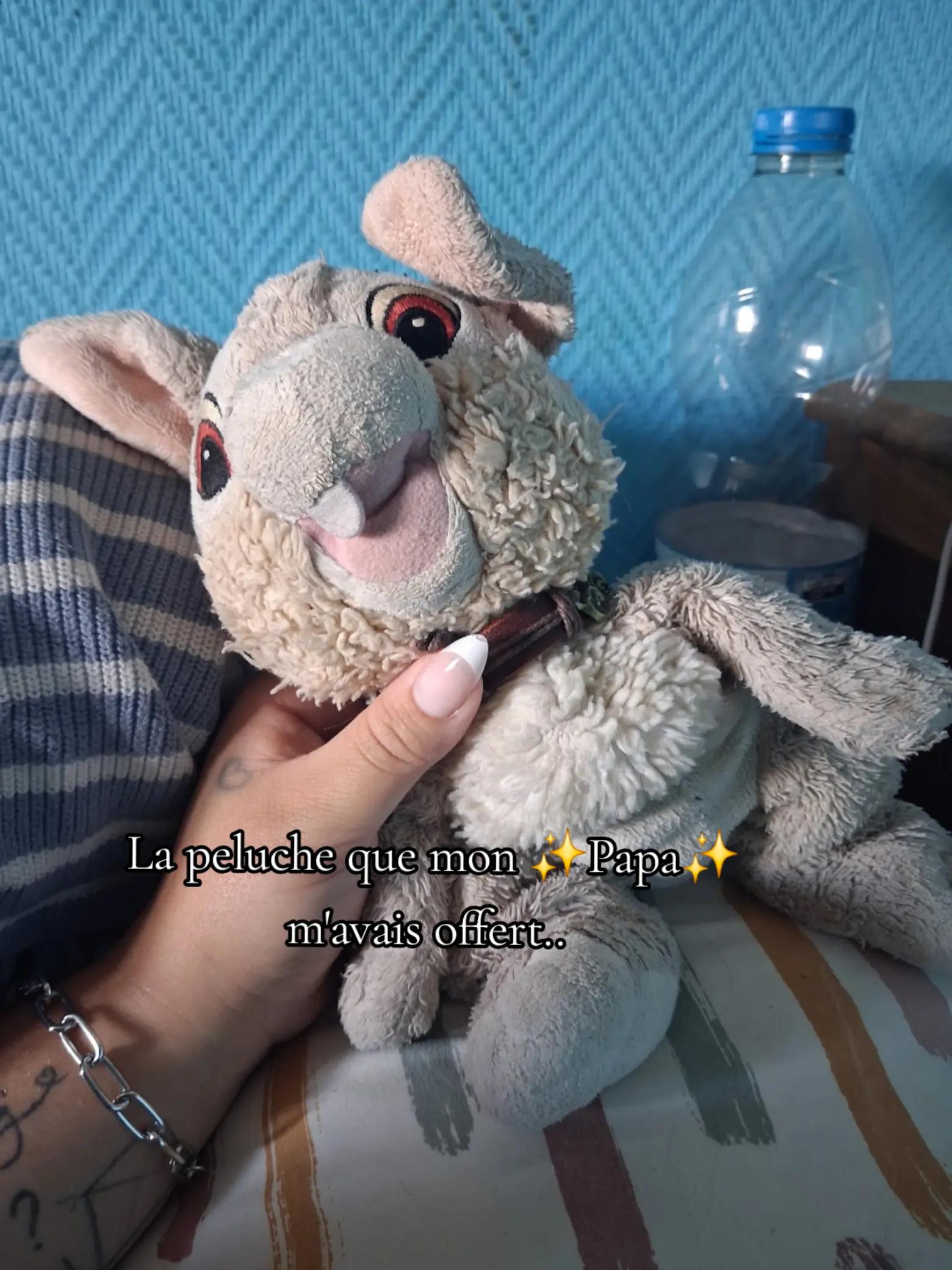 @🇵🇹🦔✨️