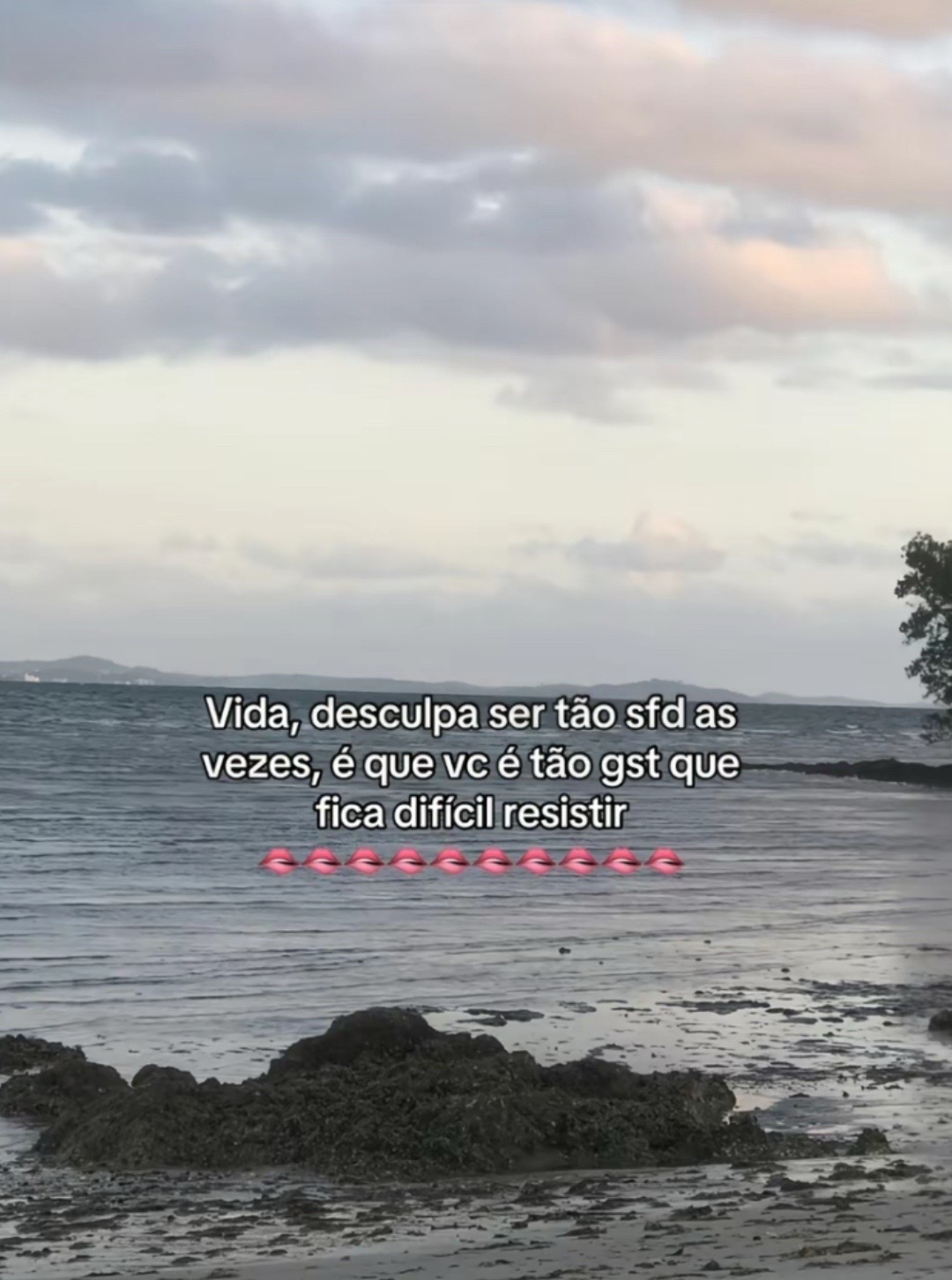 @nao é a mari🫶🏻