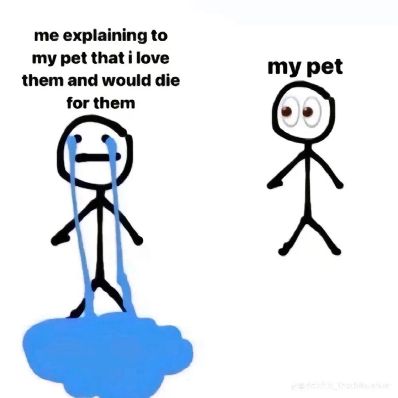 @$hrimpscampi