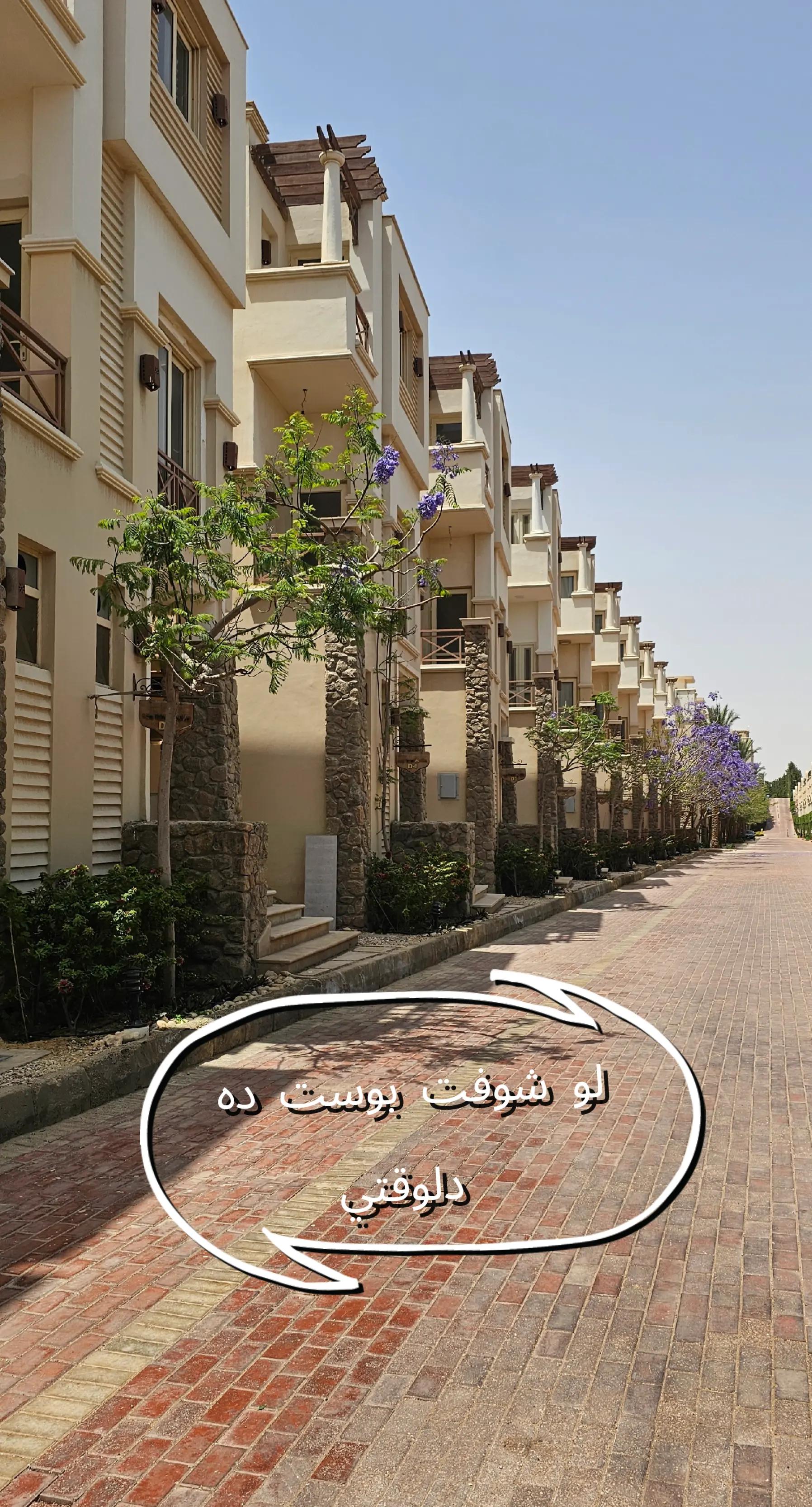 @Nada Diab