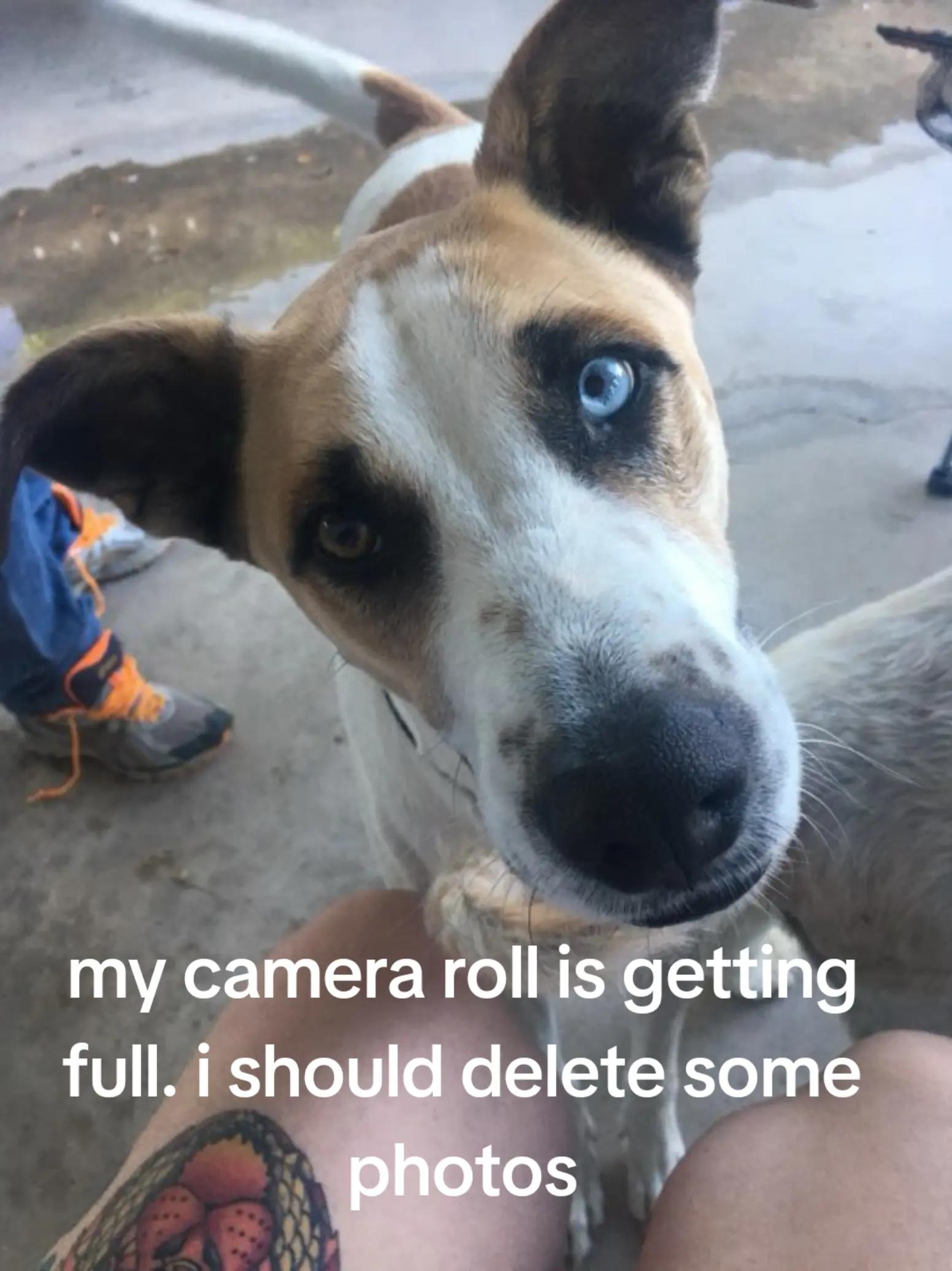@Ace