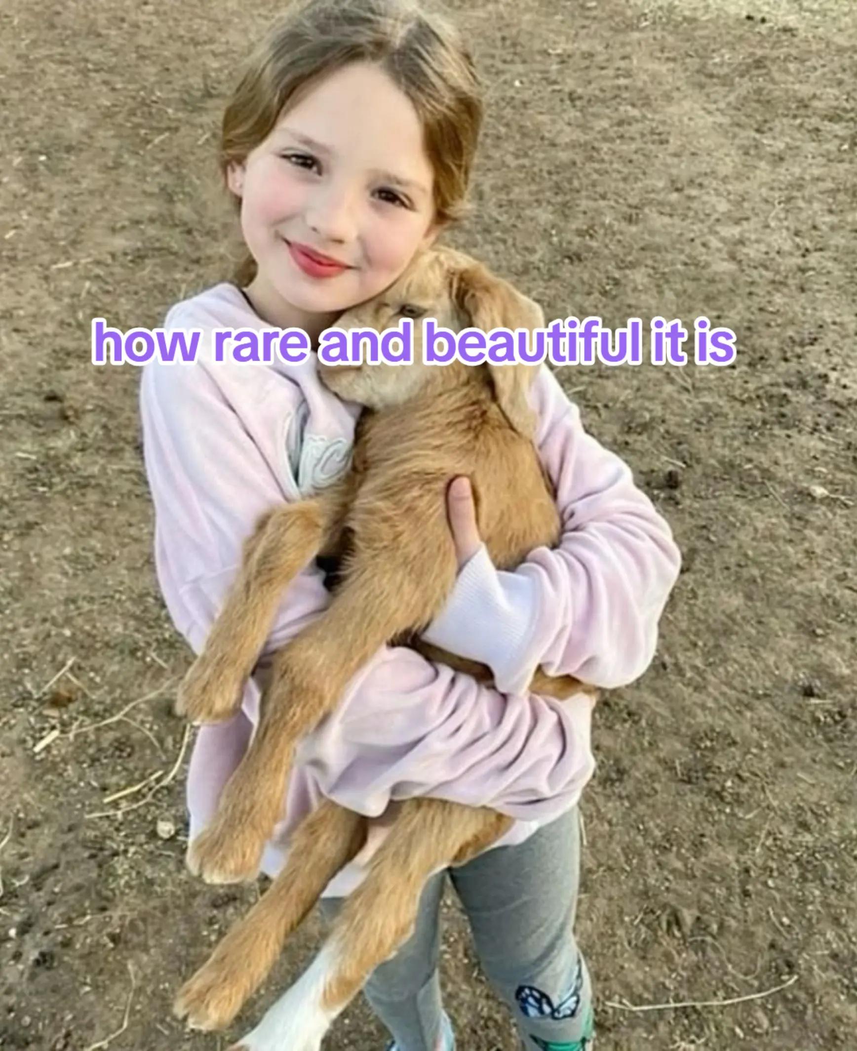 @robbelementary_laylasalazar11