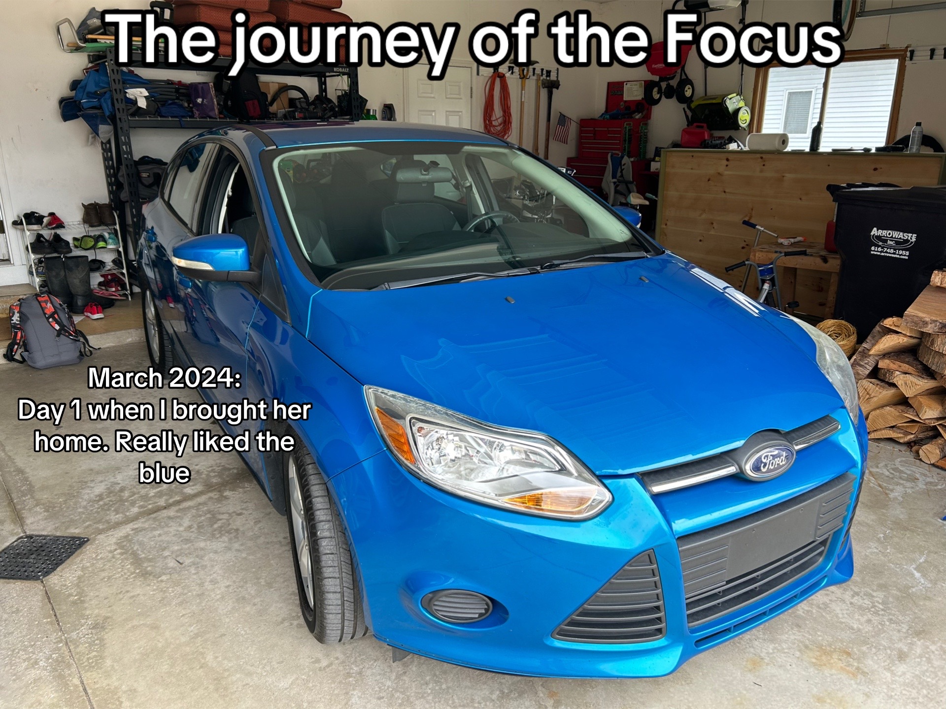 @ThatOneBlueFocus