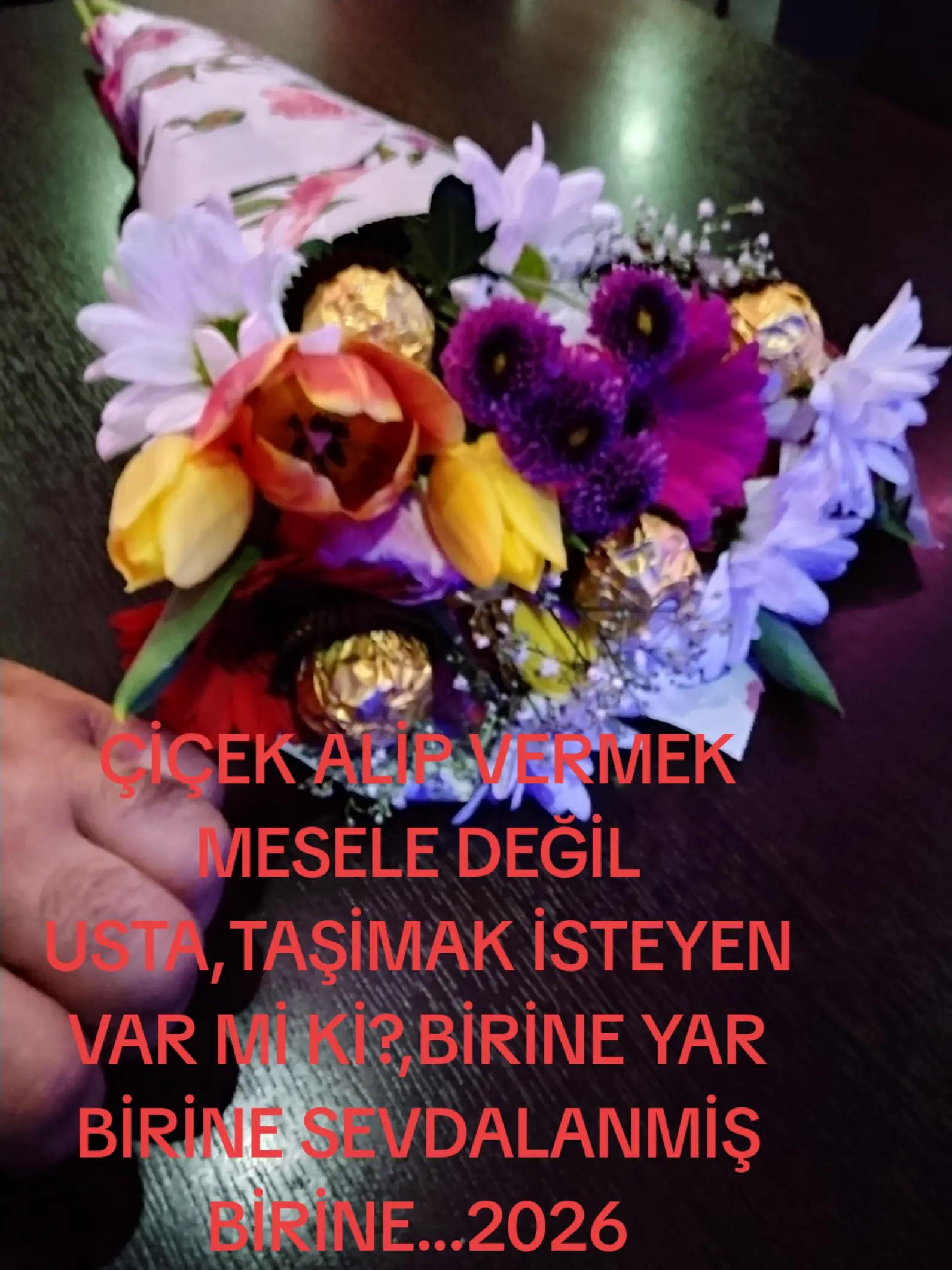 @BORDO BERELI ASLAN KRAL1