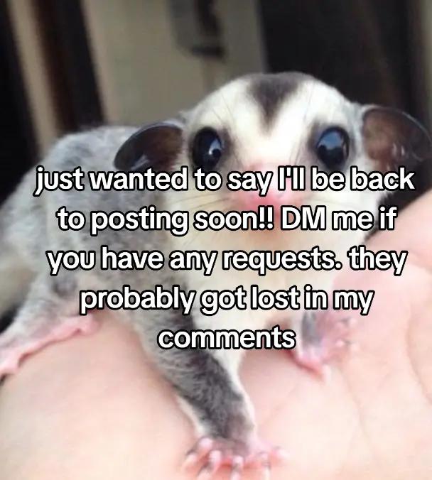 @widdleart