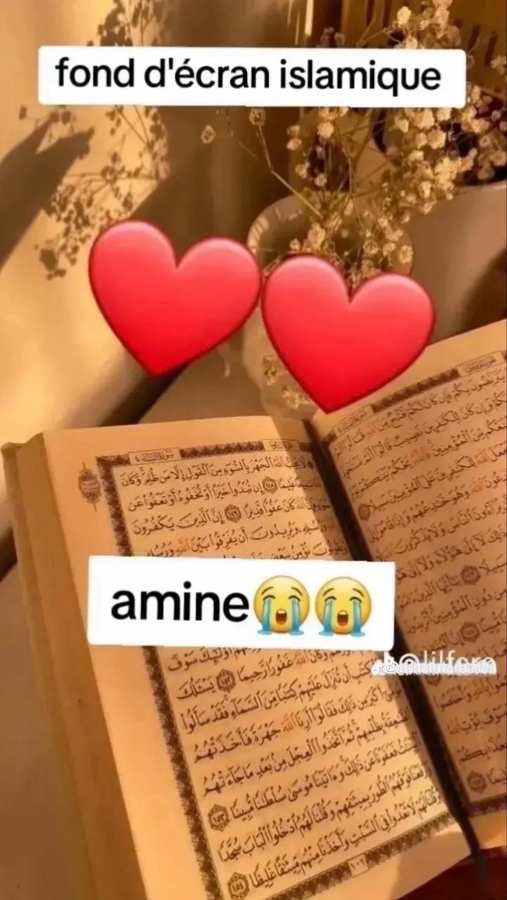 @Mariam Mariam