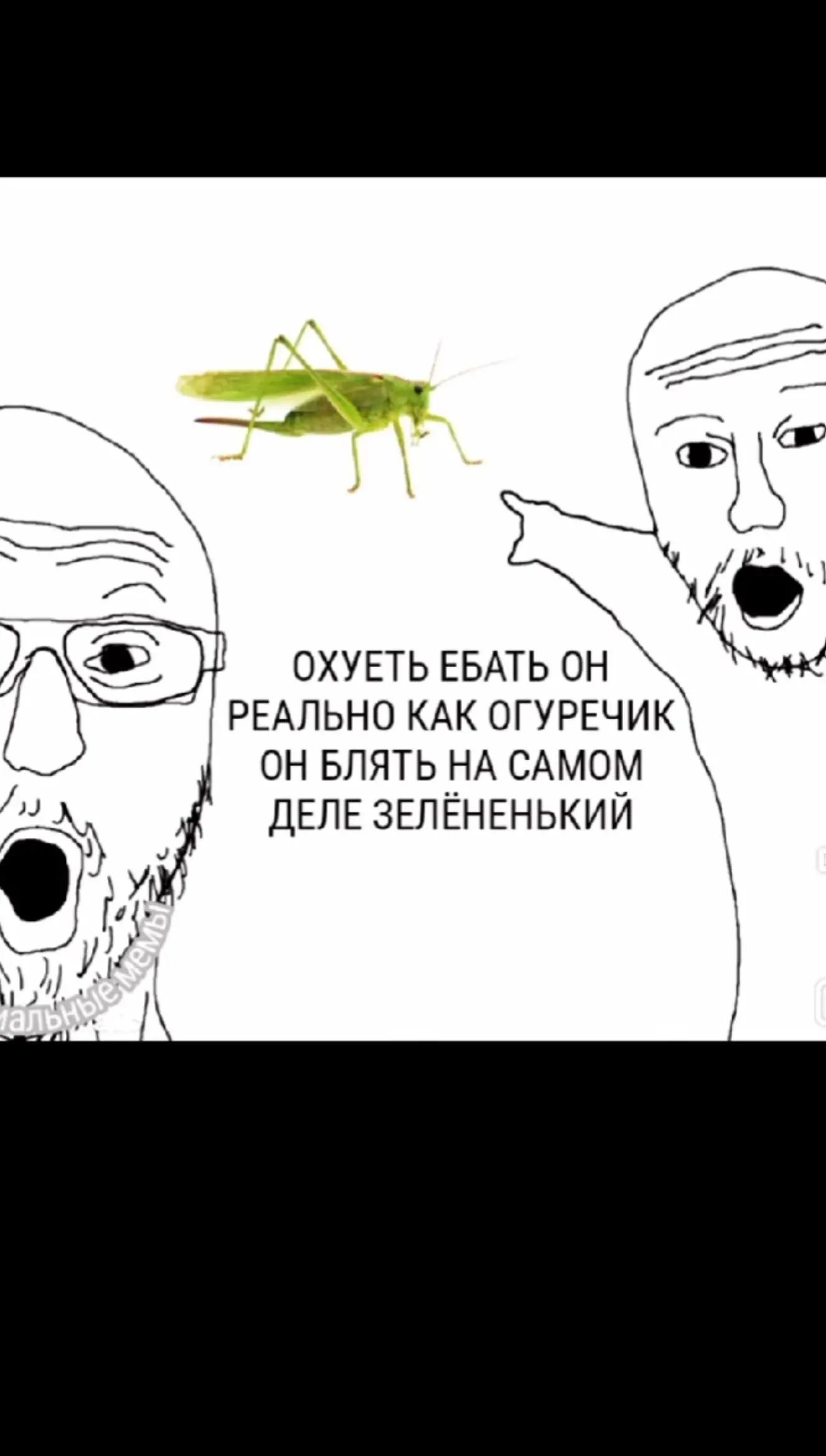 @dima_gromov