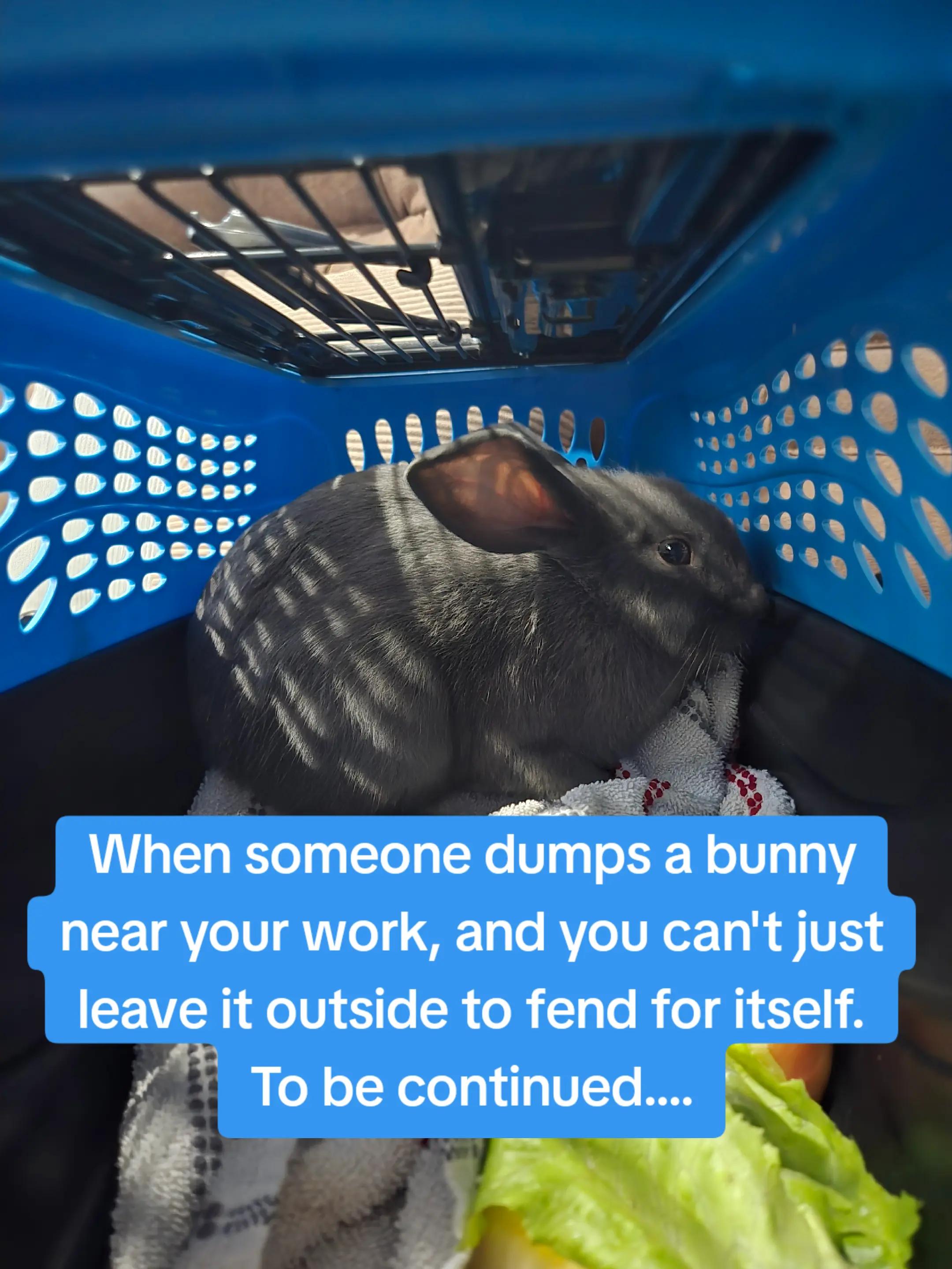 @Lynnie