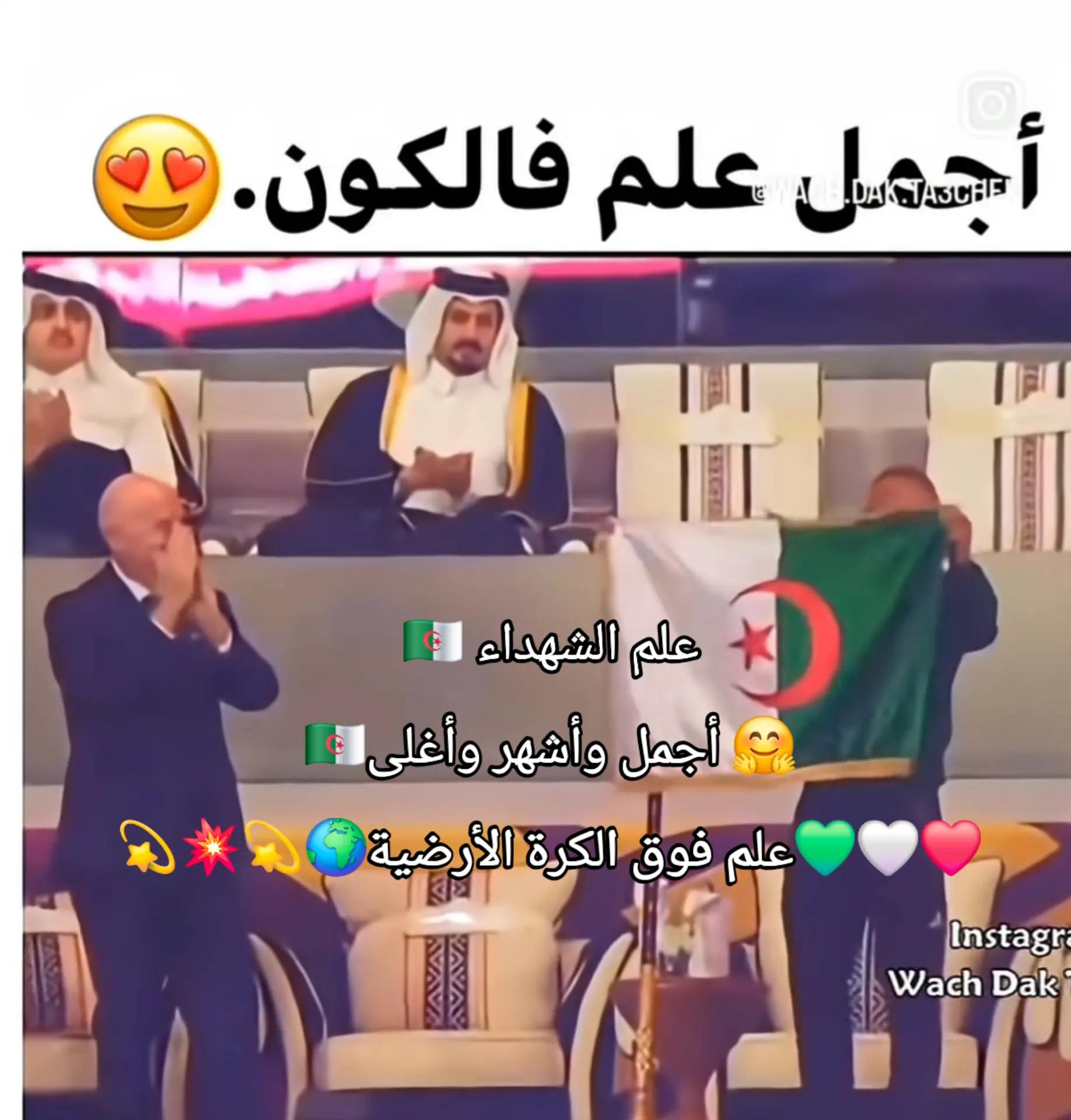 @CHAOUIA.DZ