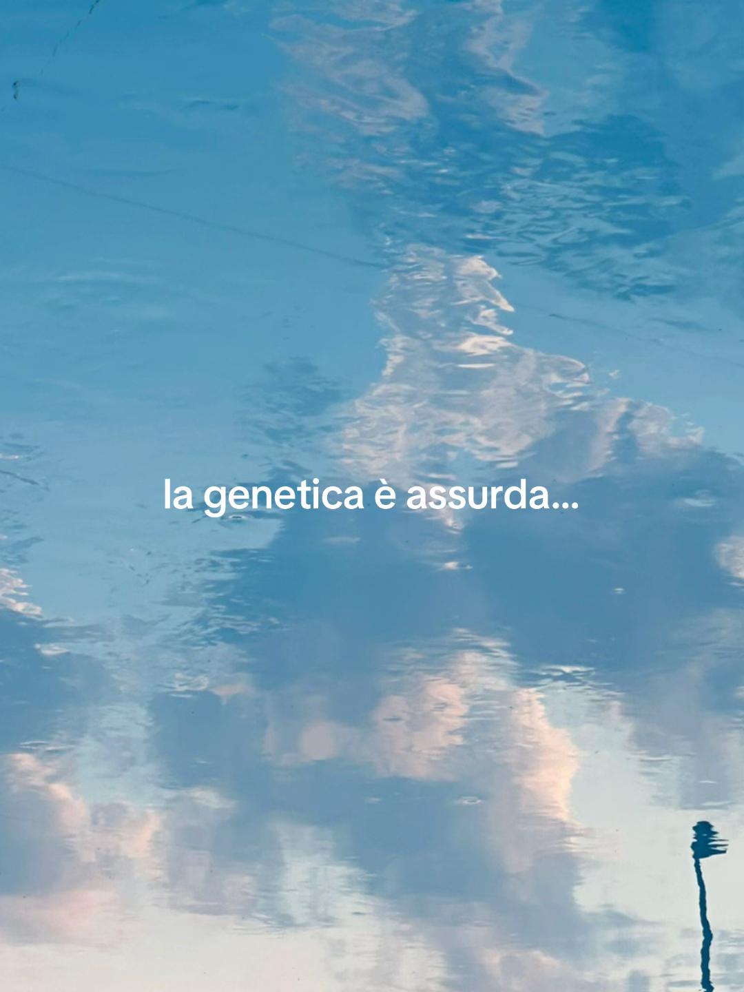@nœmi