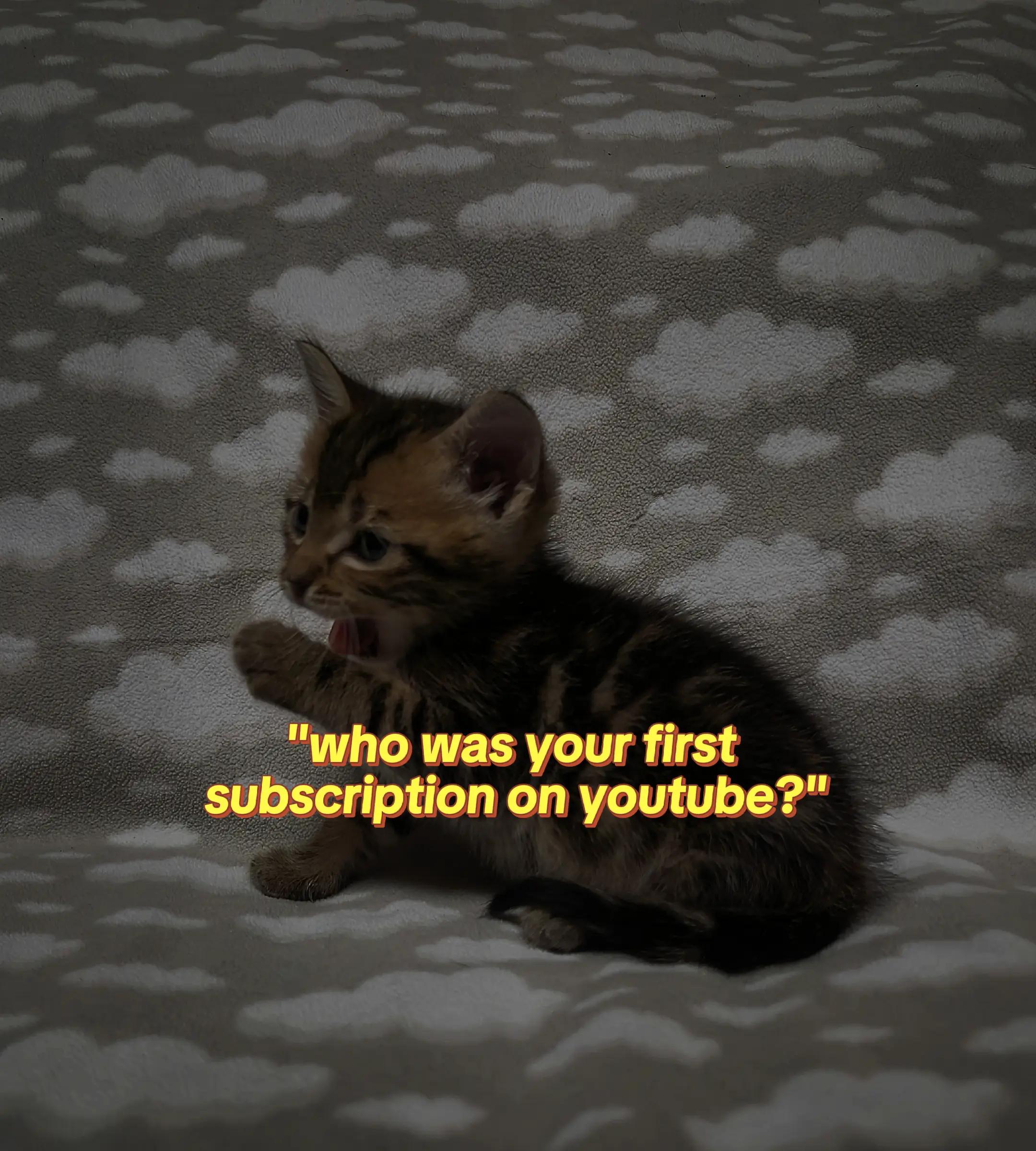 @silvershroud