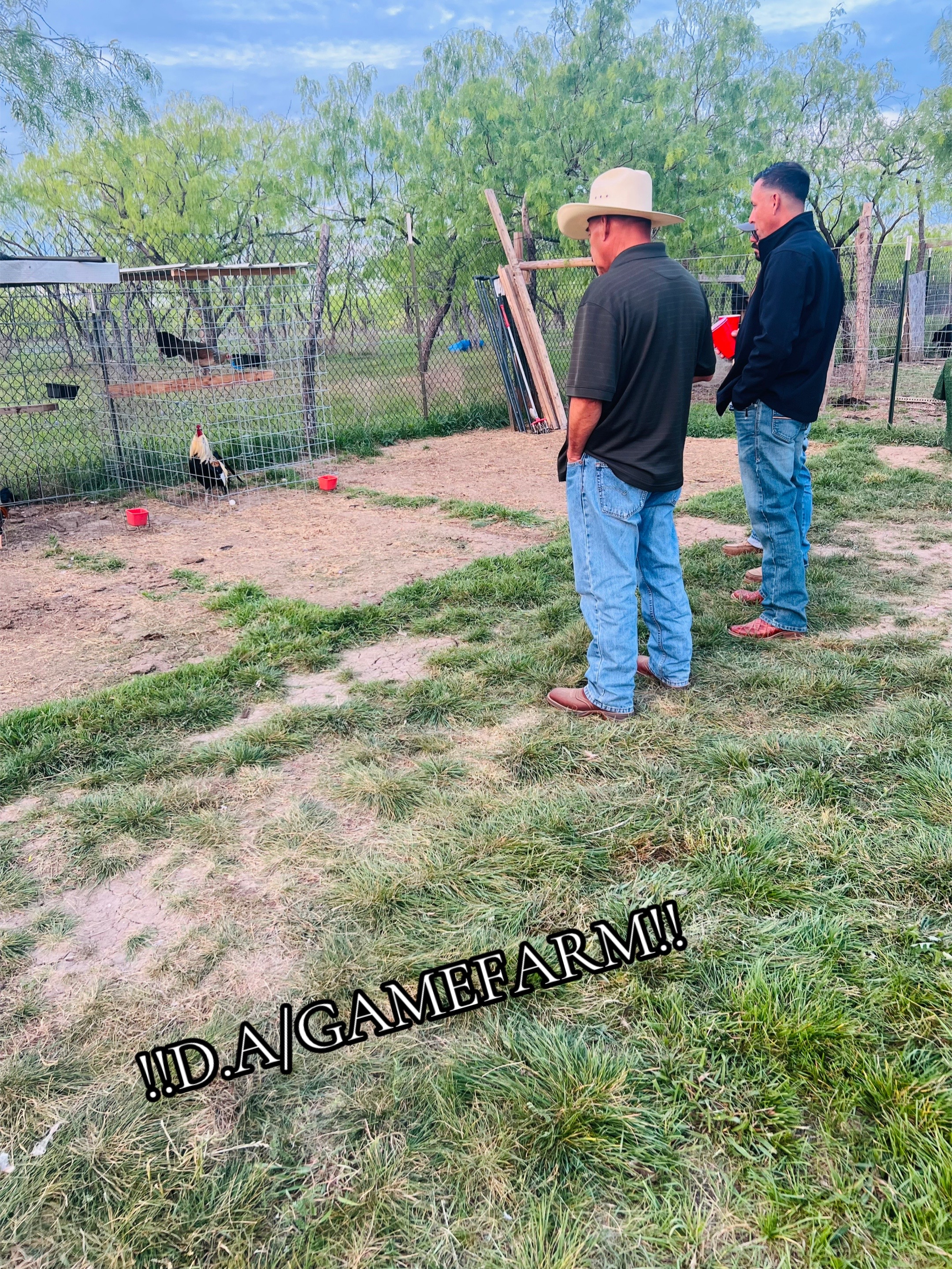 @DAgamefarm
