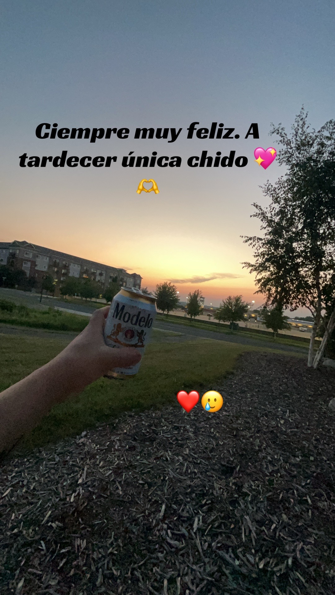 @the; 🫠angel,@ 😻