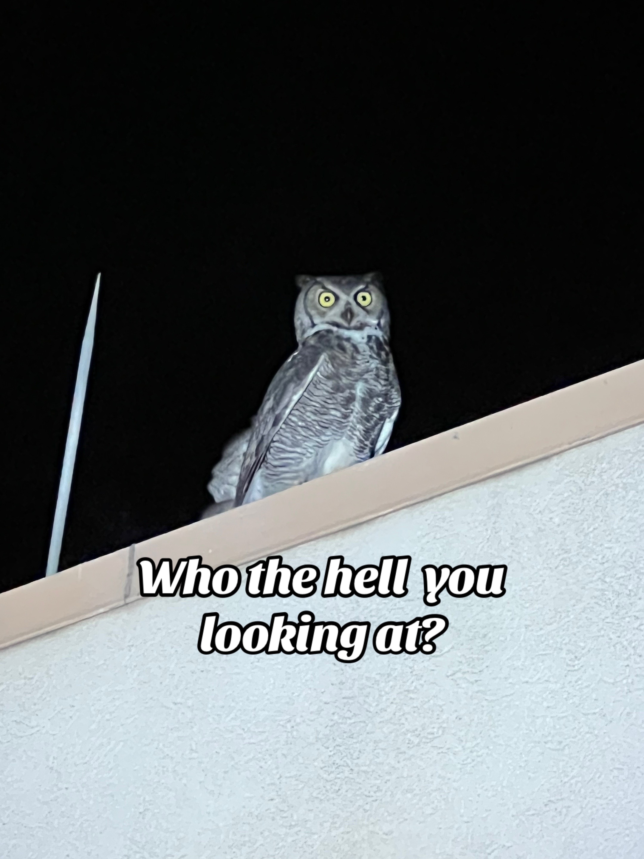 @Jay