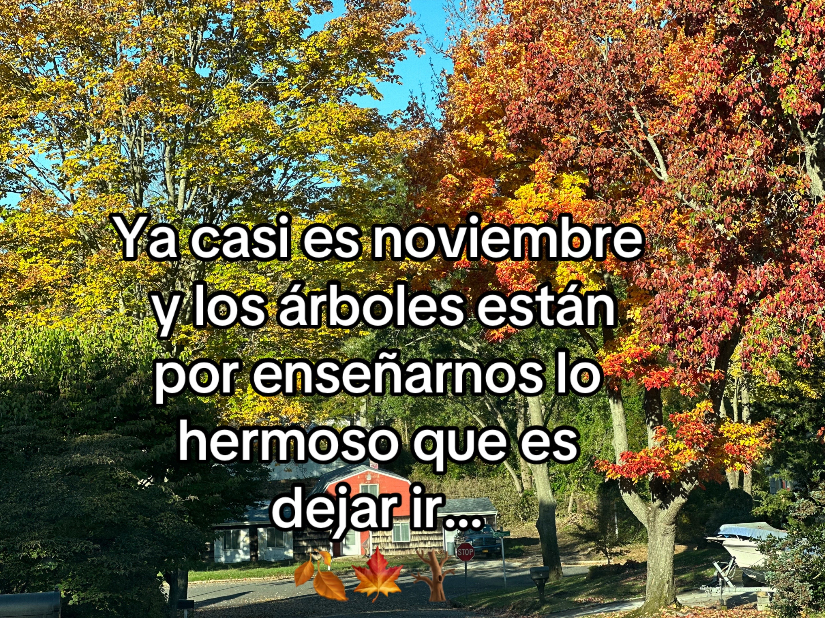 @Ary