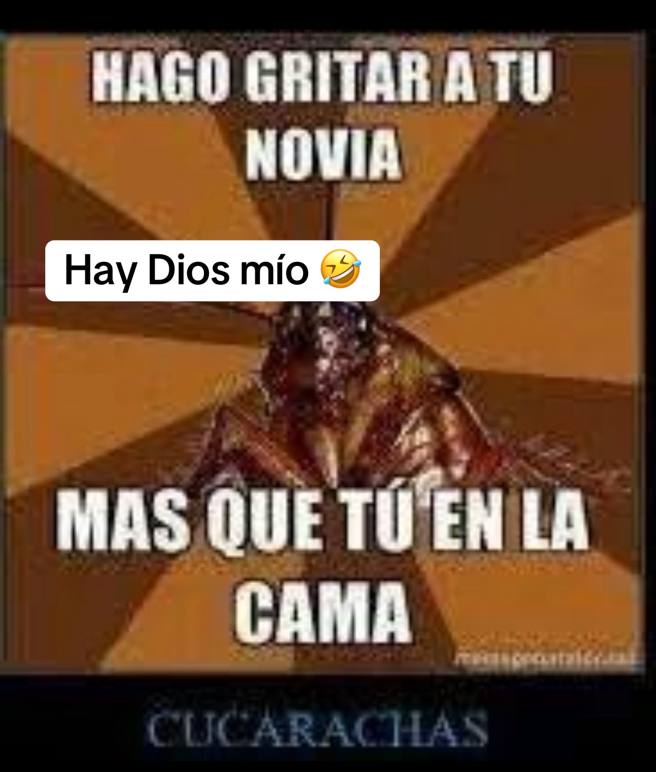 @Nelly Rivera Velazquez