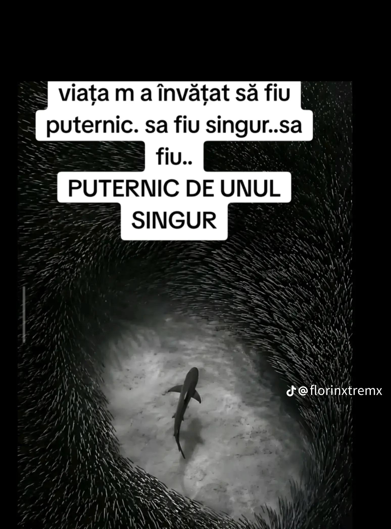 @elena din troia