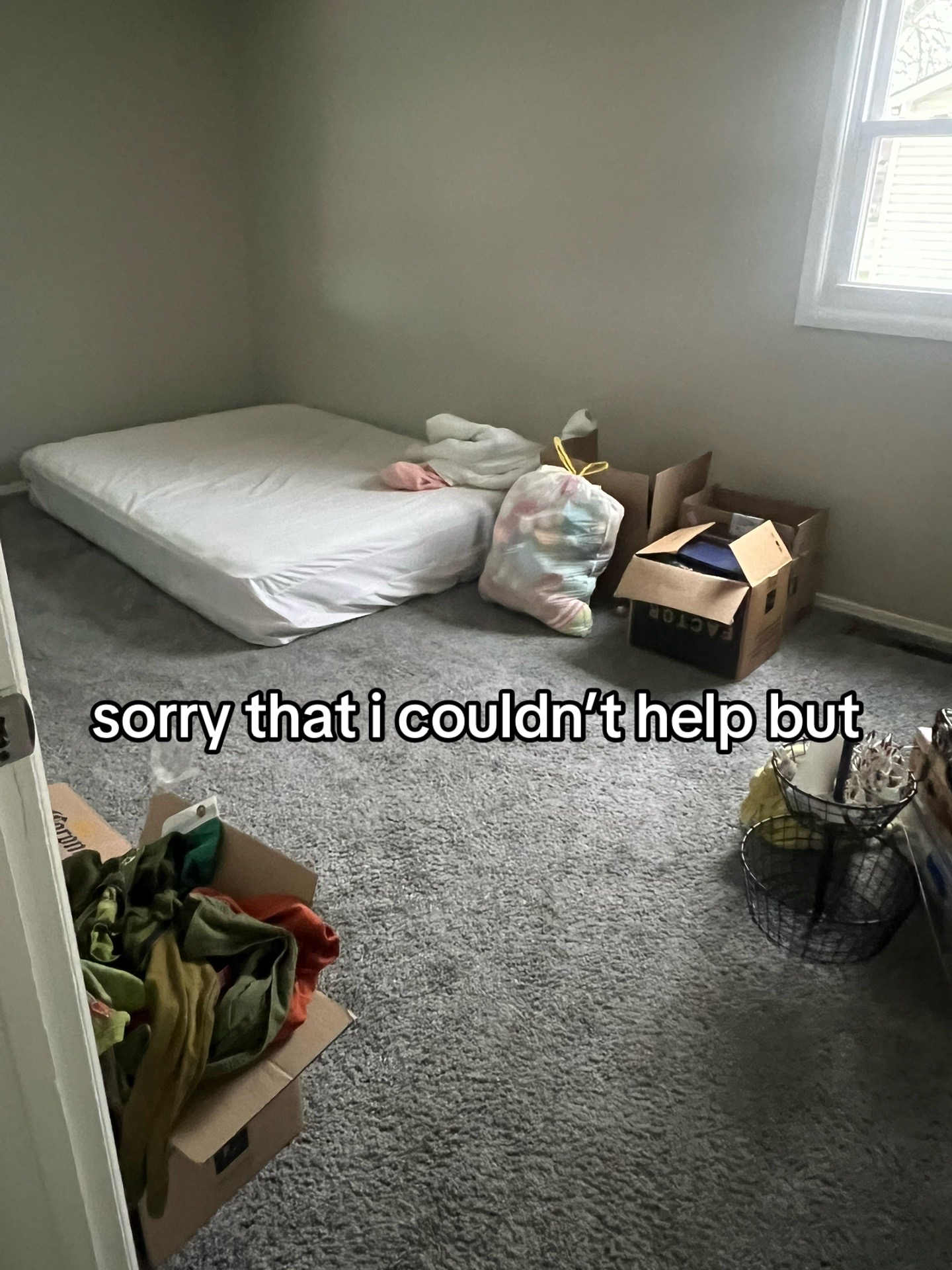@vinny