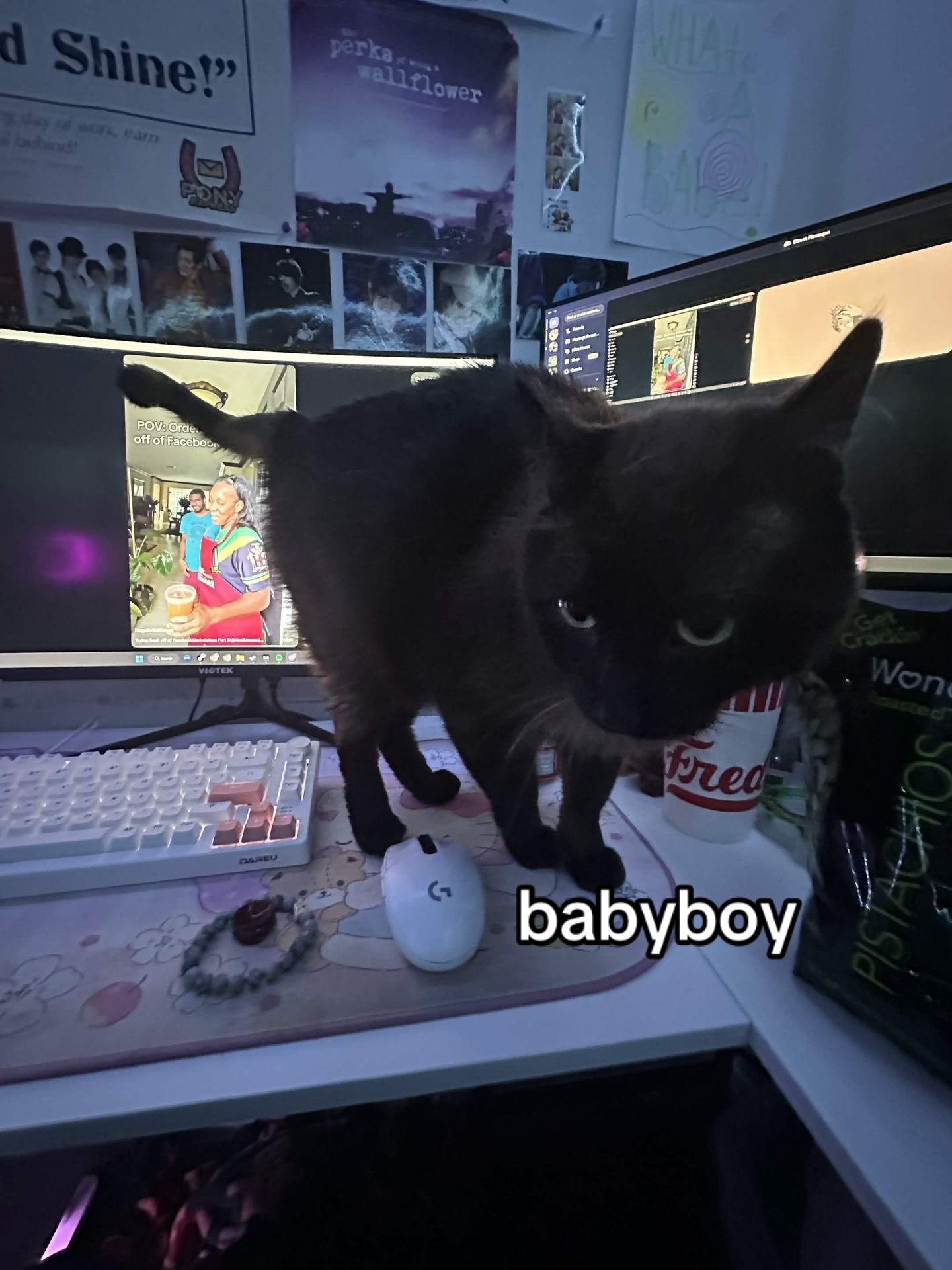 @em