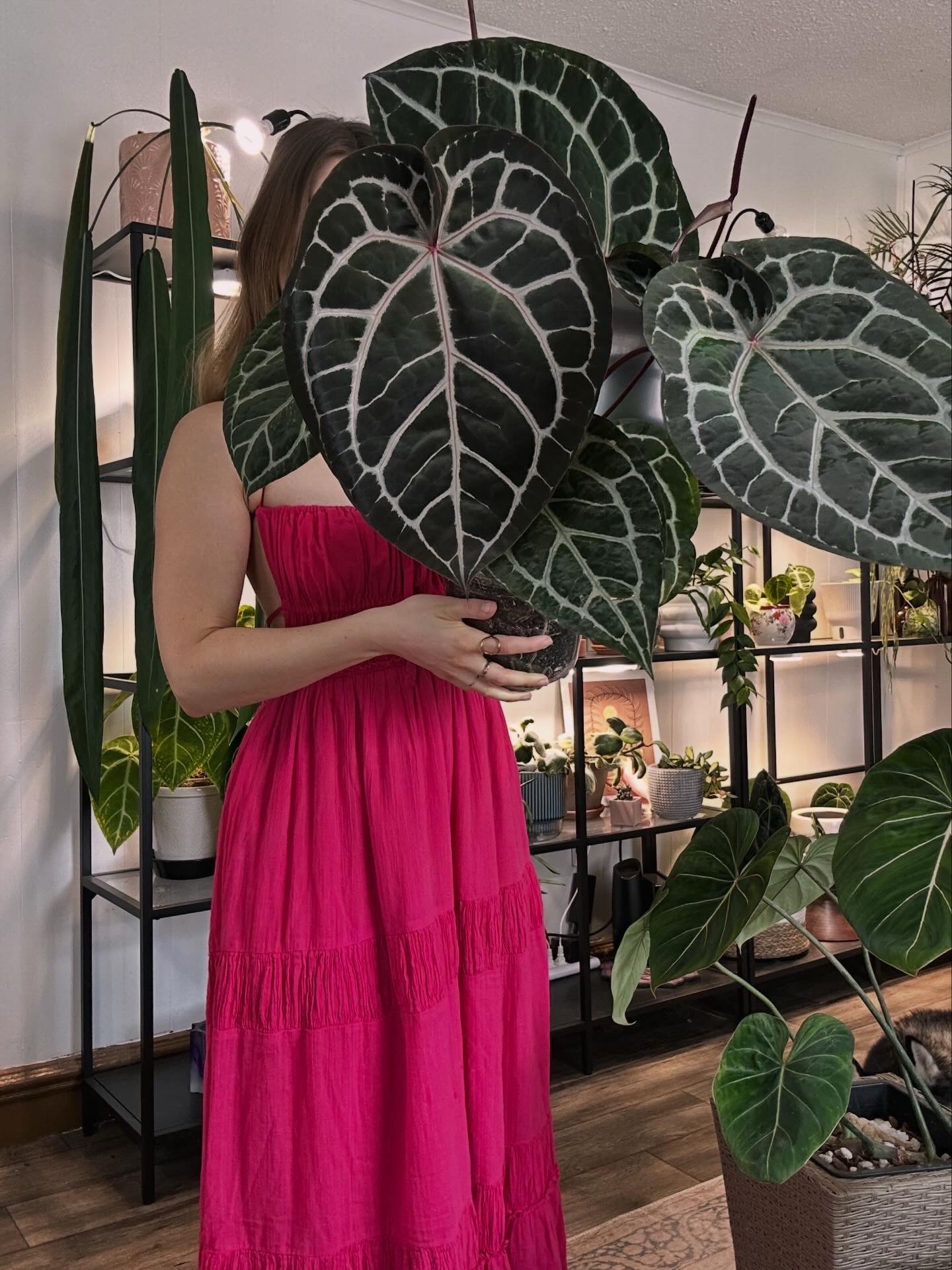 @theplantgirl_diaries