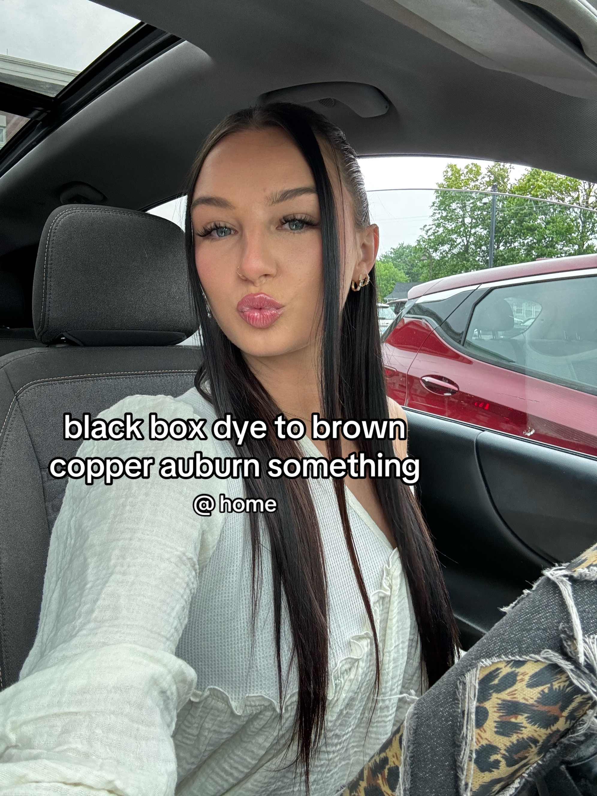 @savanna